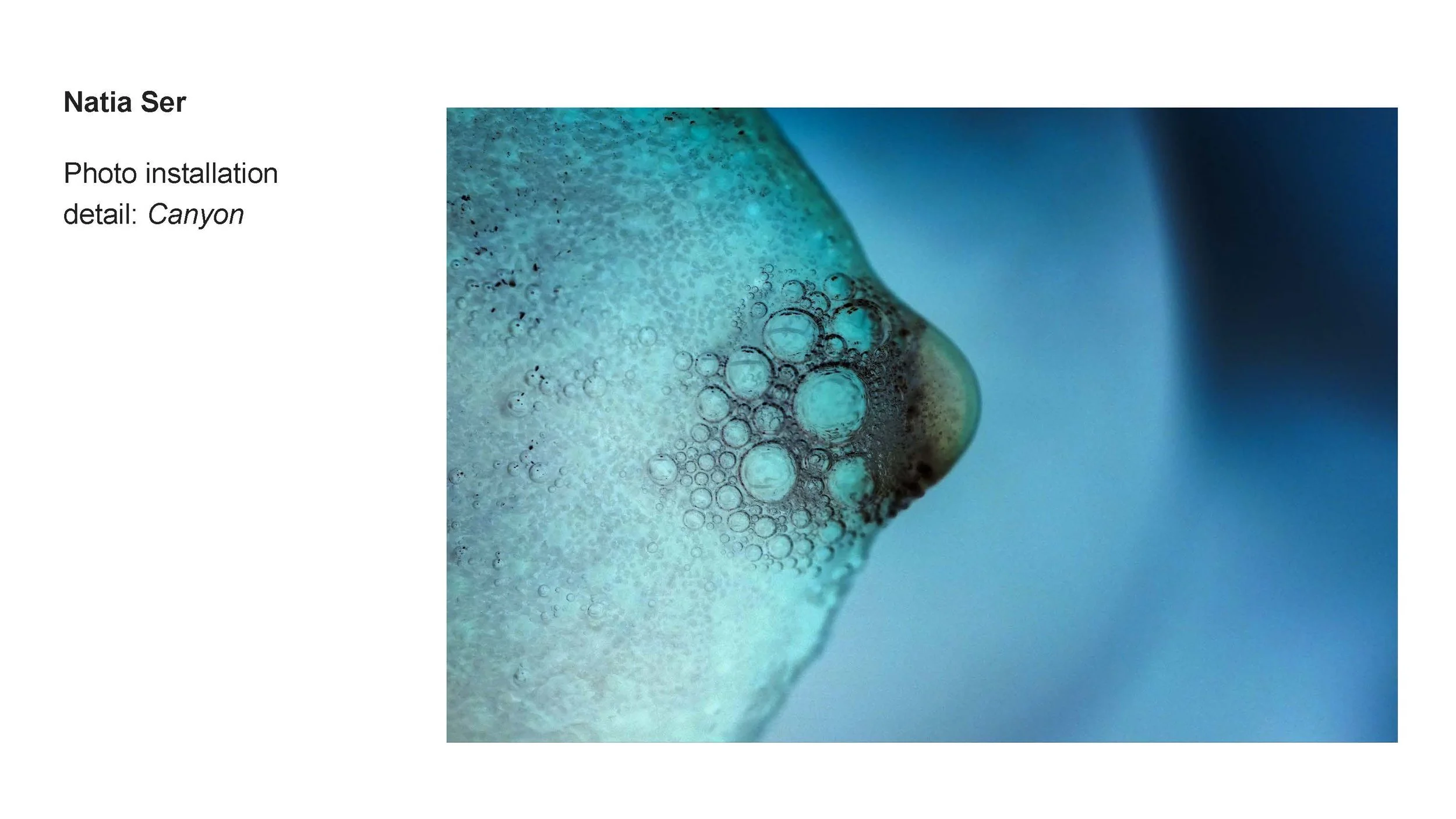 AALANA-BIPOC 2026 Exhibit_Natia Ser_03.jpg