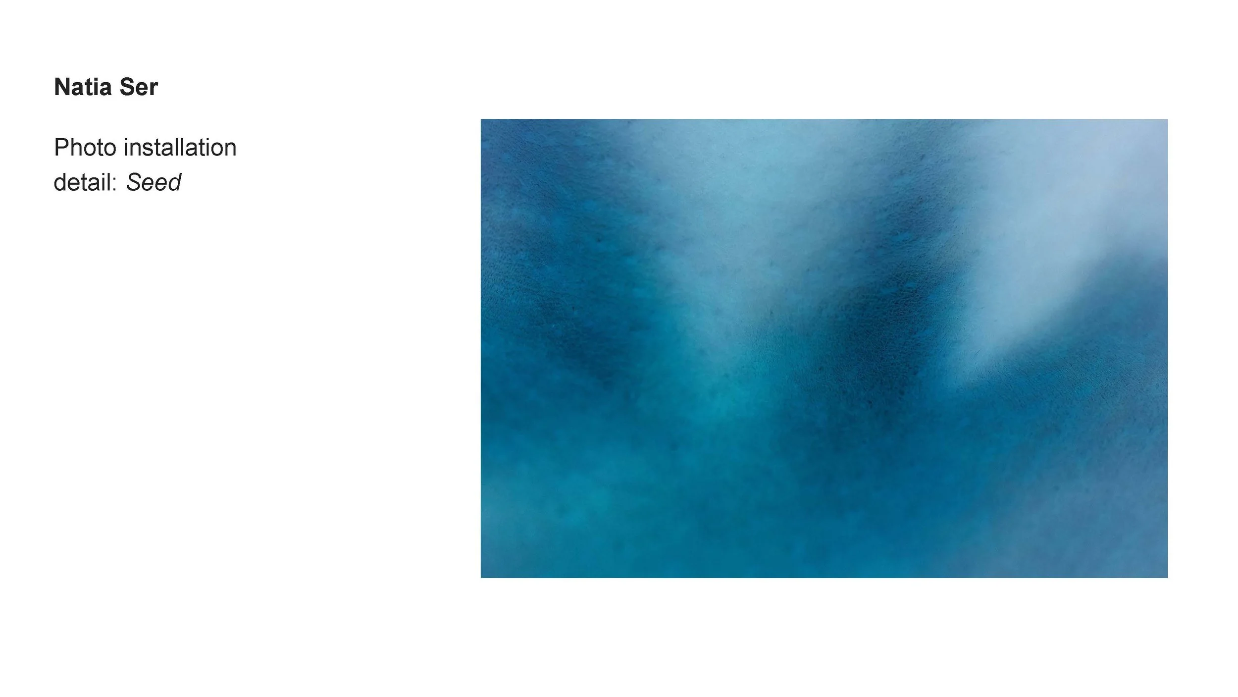 AALANA-BIPOC 2026 Exhibit_Natia Ser_08.jpg