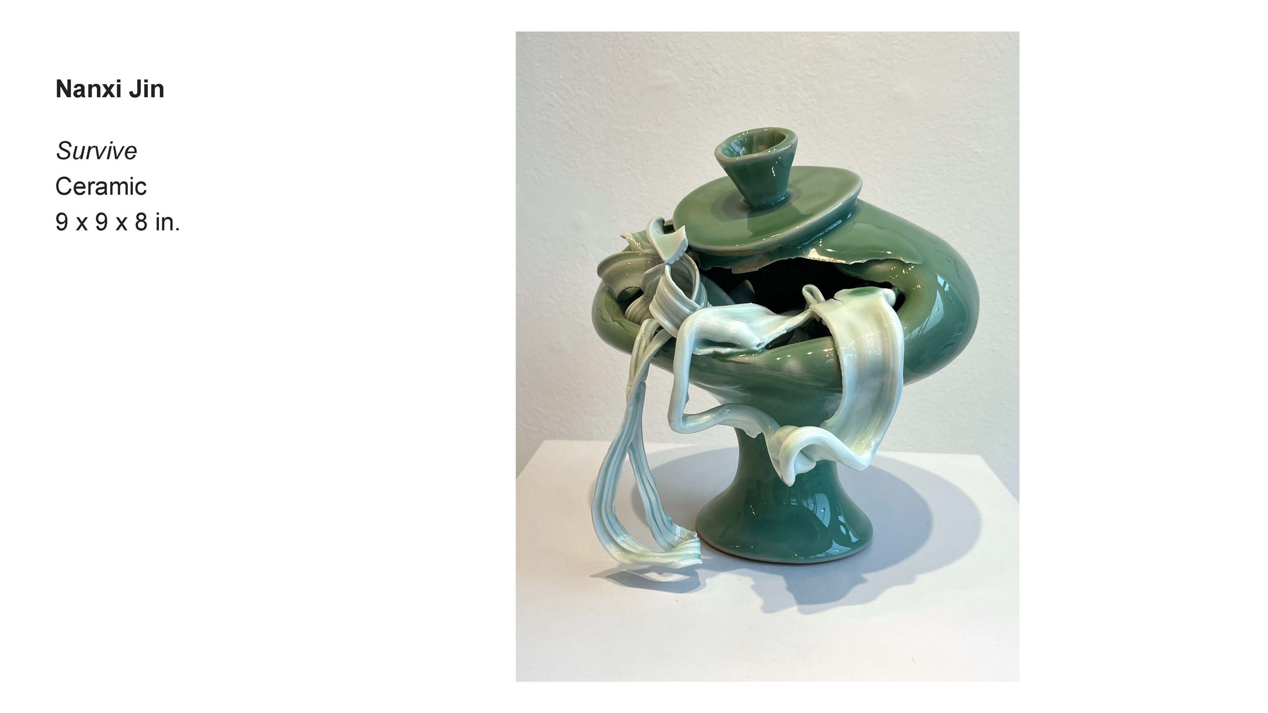 AALANA-BIPOC 2026 Exhibit_Nanxi Jin_03.jpg