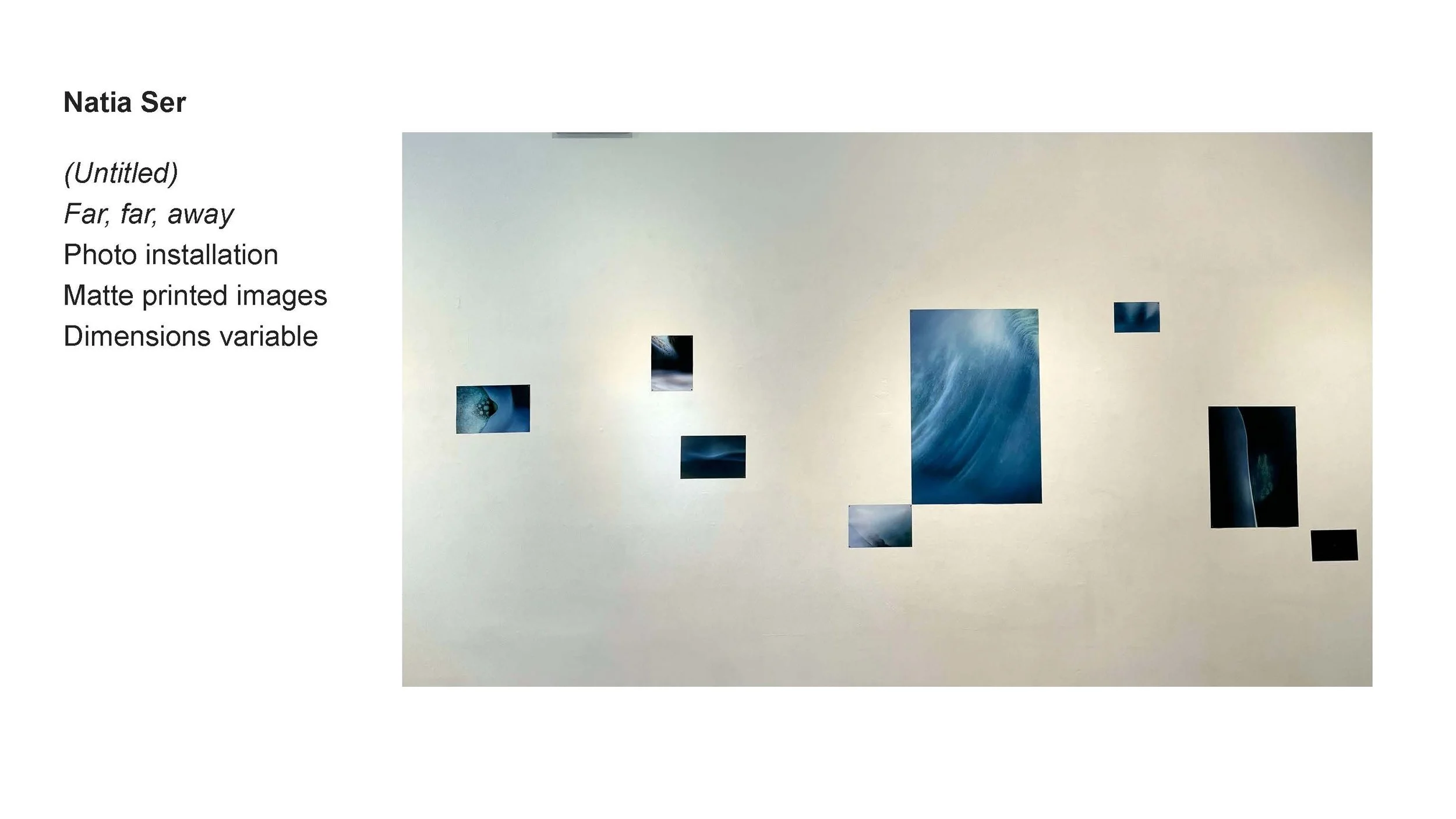 AALANA-BIPOC 2026 Exhibit_Natia Ser_02.jpg