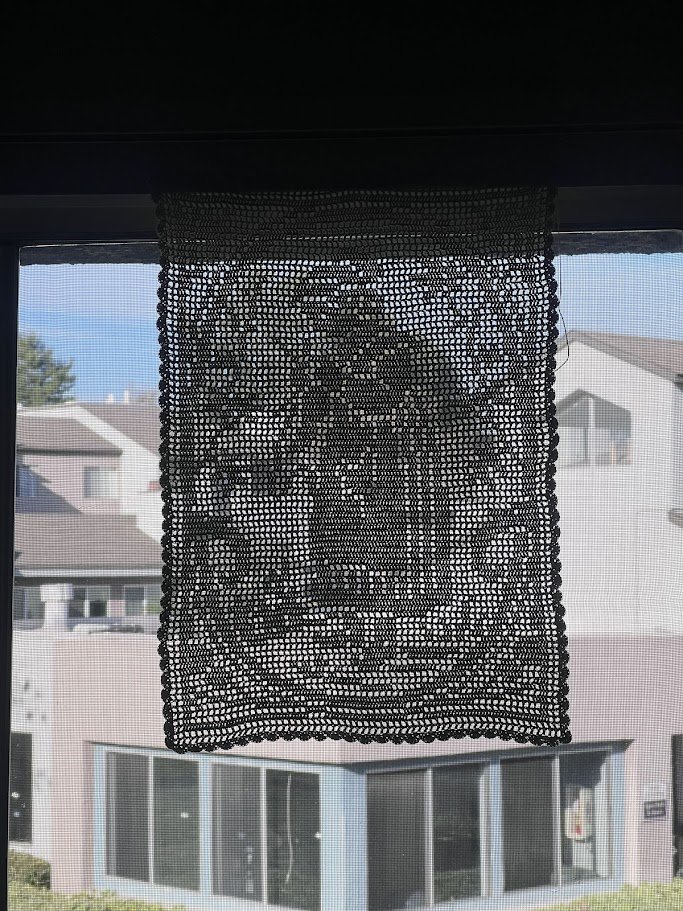Displaying my Filet Crochet!