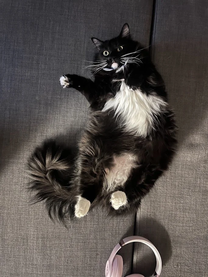 Hanging out with Theo!