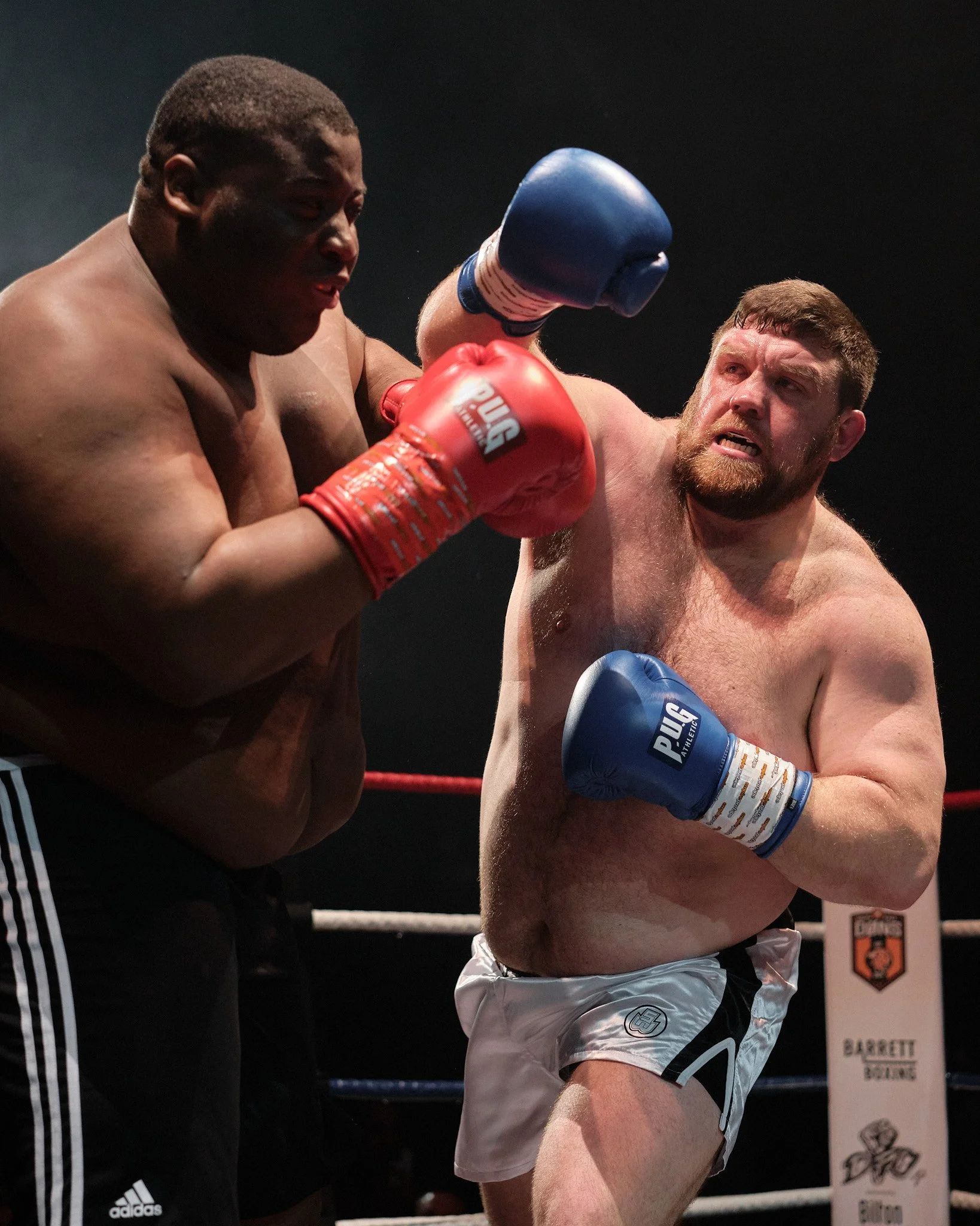 Two shirtless male boxers engaged in a match, with one wearing red gloves and the other blue gloves, inside a boxing ring, with a referee nearby.