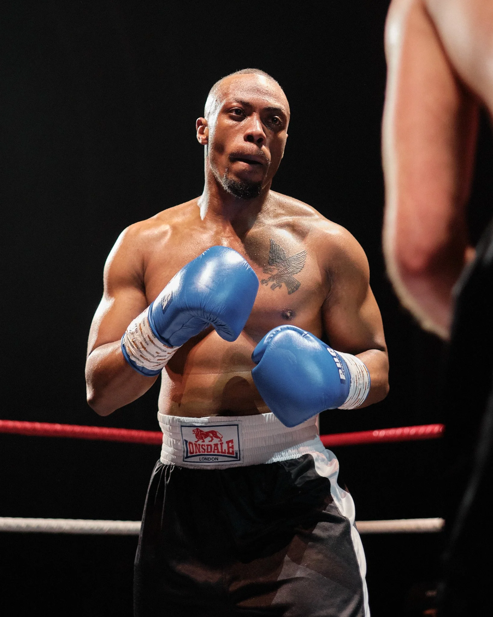 A shirtless male boxer wearing blue gloves and black shorts, standing in a boxing ring with red ropes, looking serious and focused.