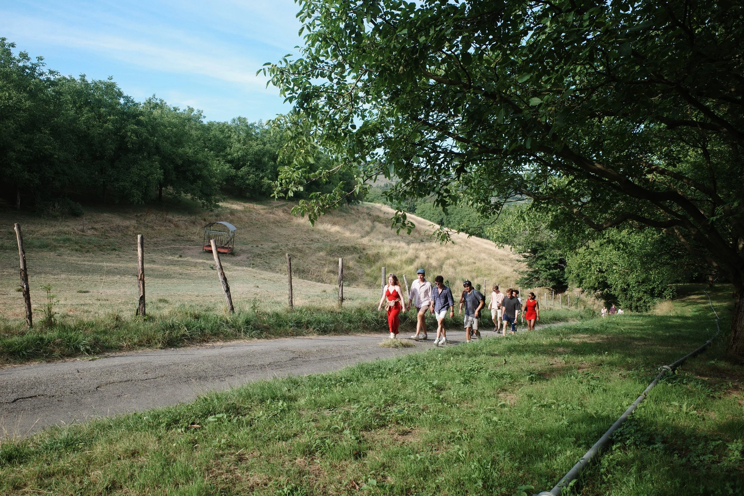 R0008499.JPG
