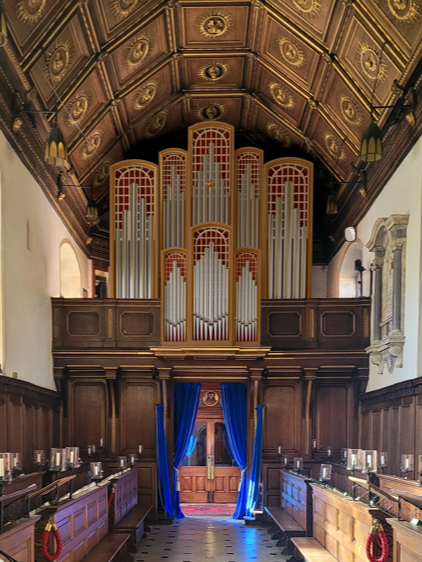 new organ updated.png