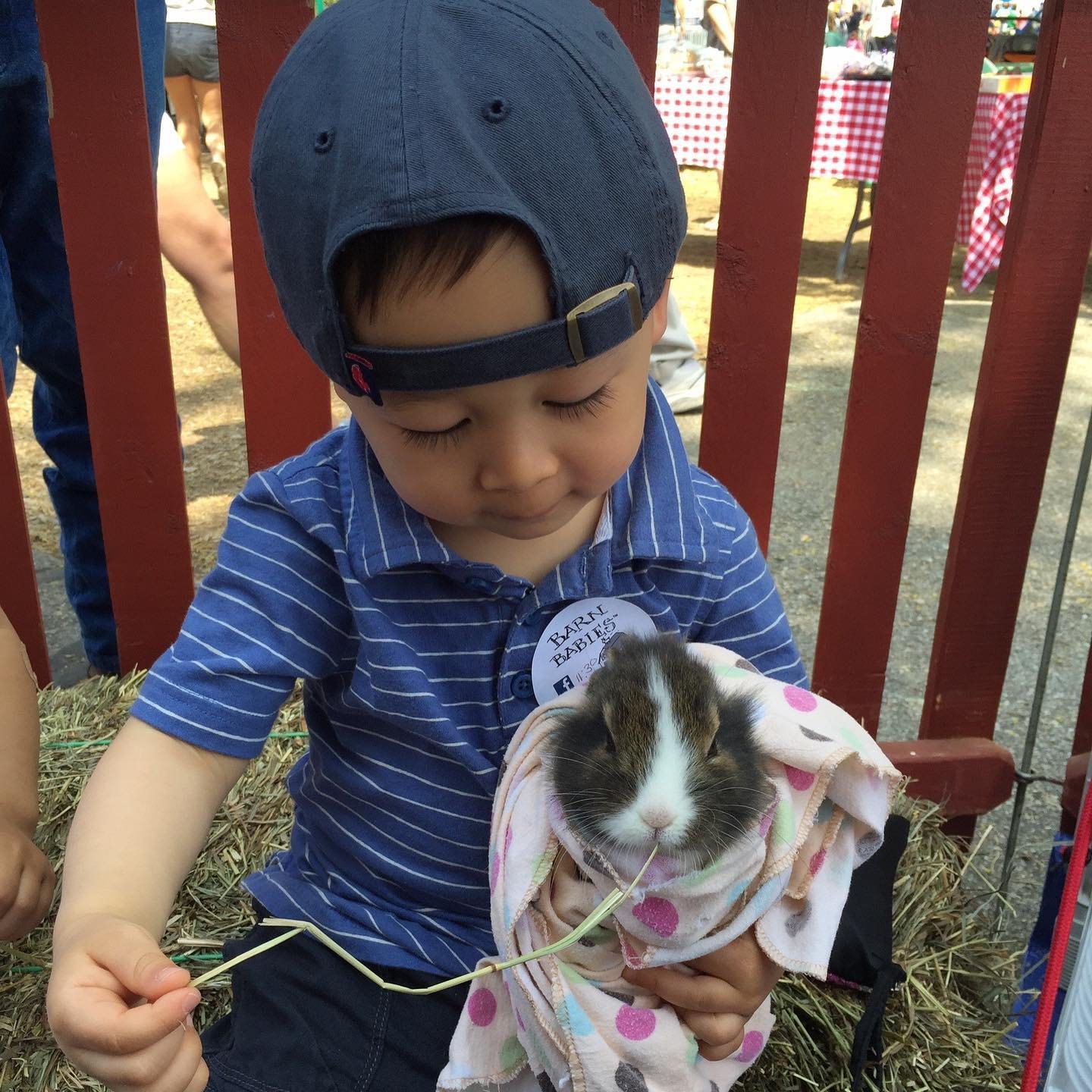 We had a blast meeting some new furry friends from @animalcraze.farm! These animals brought sunshine to a drizzly day!

#indiebookstore #animalevent #pettingzoo #chestnuthillma