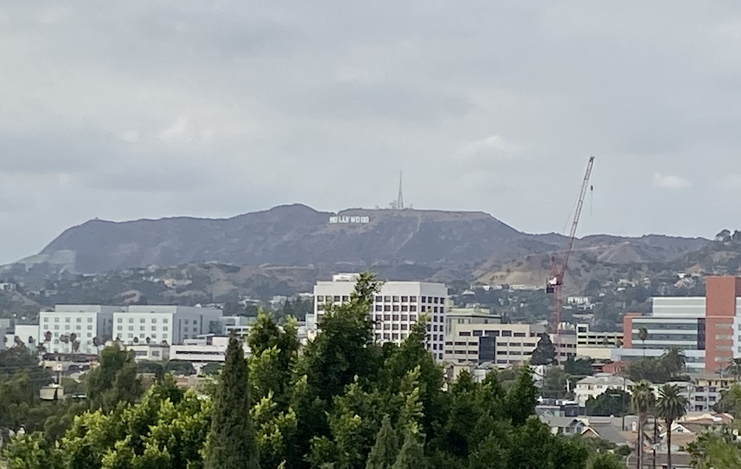 View of Hollywood Sign.JPG