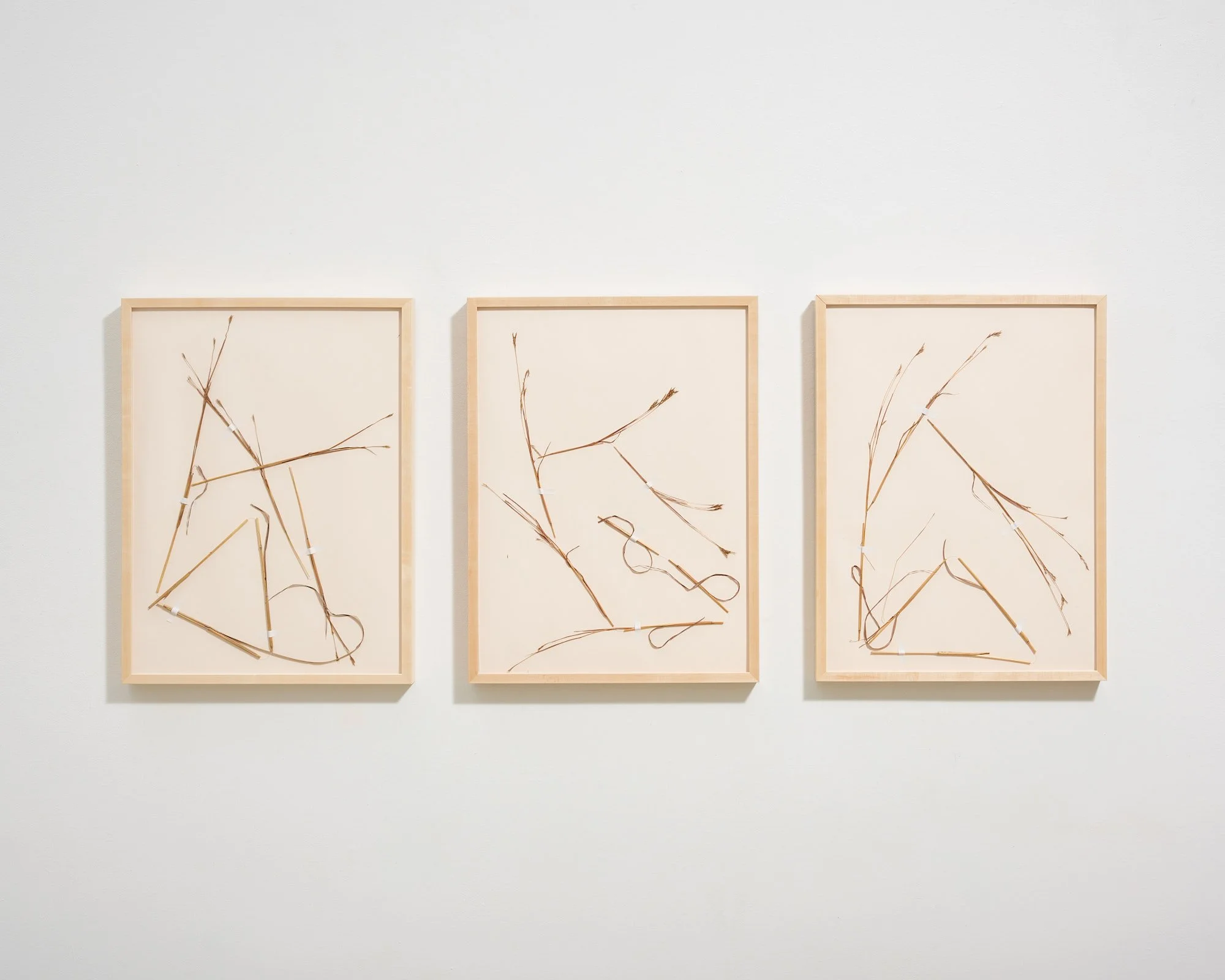 Caite - Big Blue12374_web.jpg