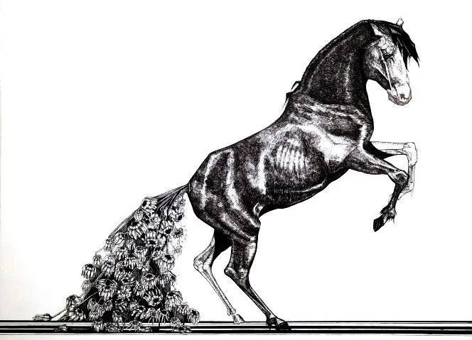 horsebutt.jpg