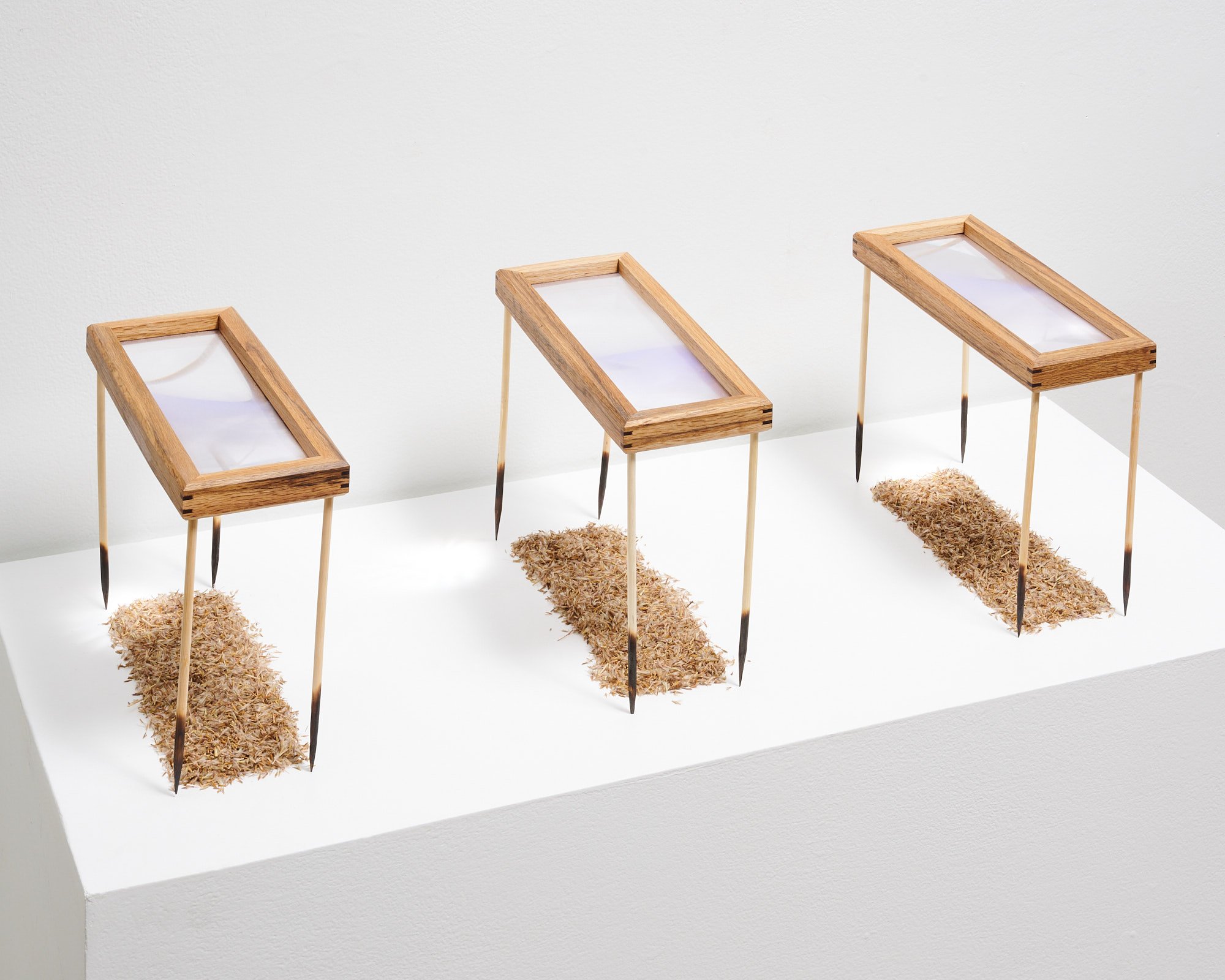 Caite - Big Blue12411_web.jpg