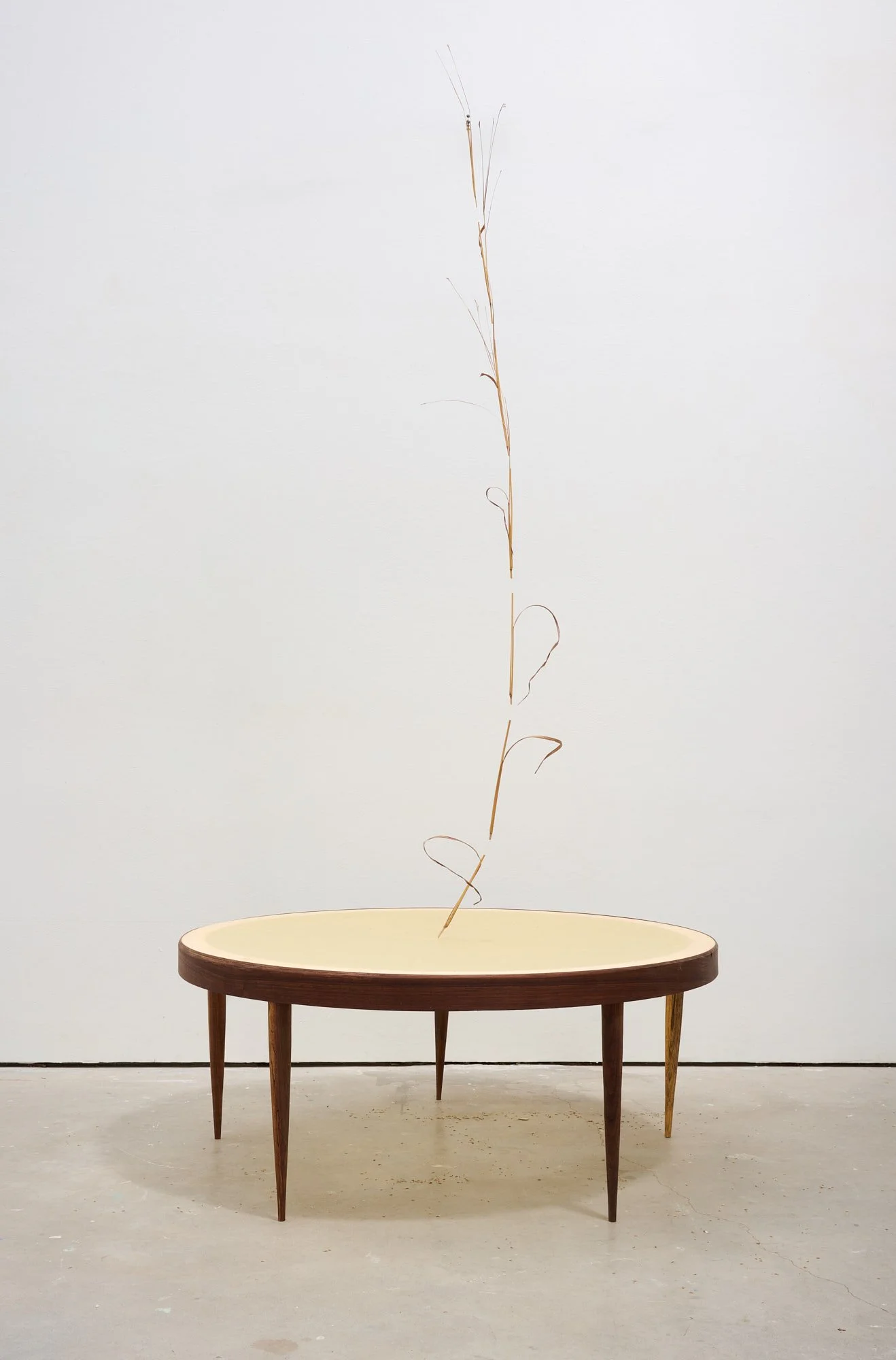 Caite - Big Blue12489_web.jpg