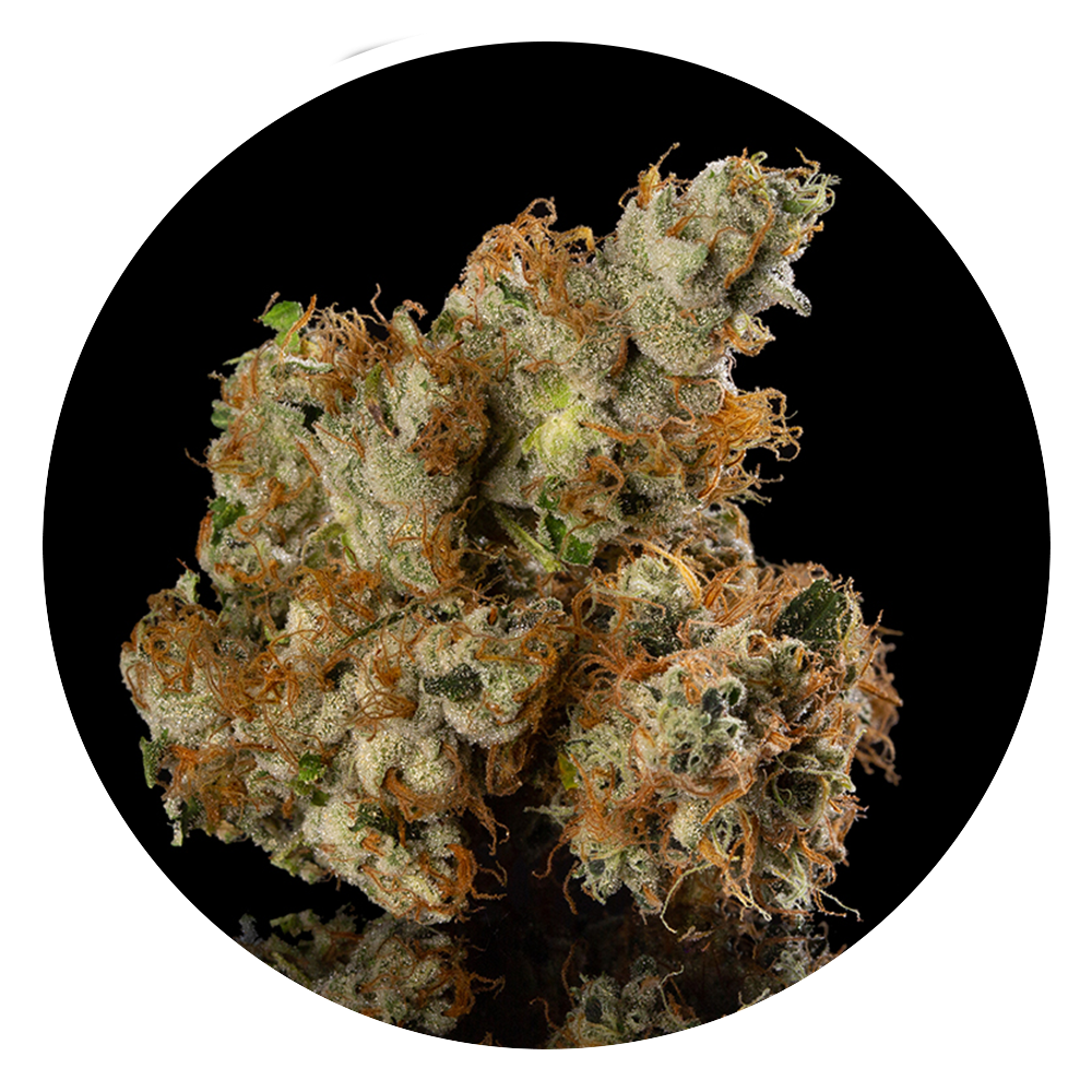 Cookies And Chem — Premium Cannabis in New Mexico Urban Wellness