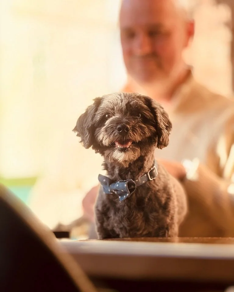 ๐พ Dogs always welcome ๐พ
Enjoy a pint with your pooch ๐ป
Open 9am - Late | Wed - Sun
