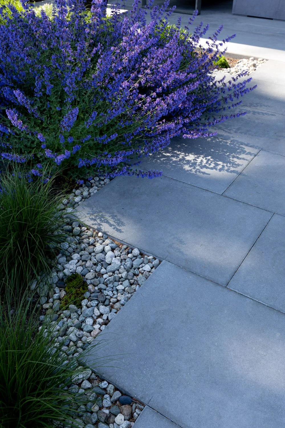 human-nature-landscapes-sunshine-coast-bc-waterfront-landscaping-17.jpg