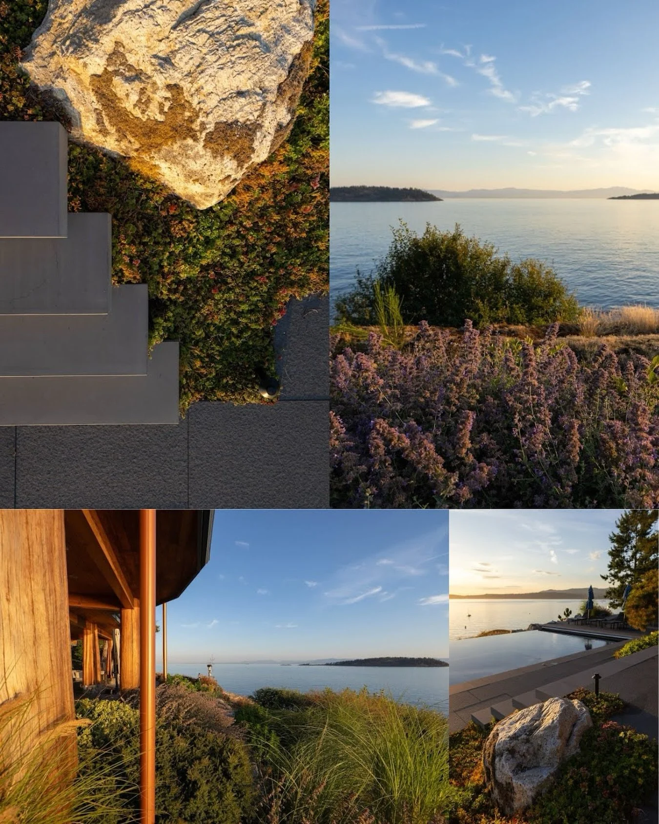 We love how these sharp, &ldquo;floating&rdquo; concrete steps look tucked right into the rugged rocks and greenery. It&rsquo;s the ultimate spot to take in the view from the infinity pool 🌊

@dolfvermeulencreative 
@johnmintydesign 
@hamiltonfineho