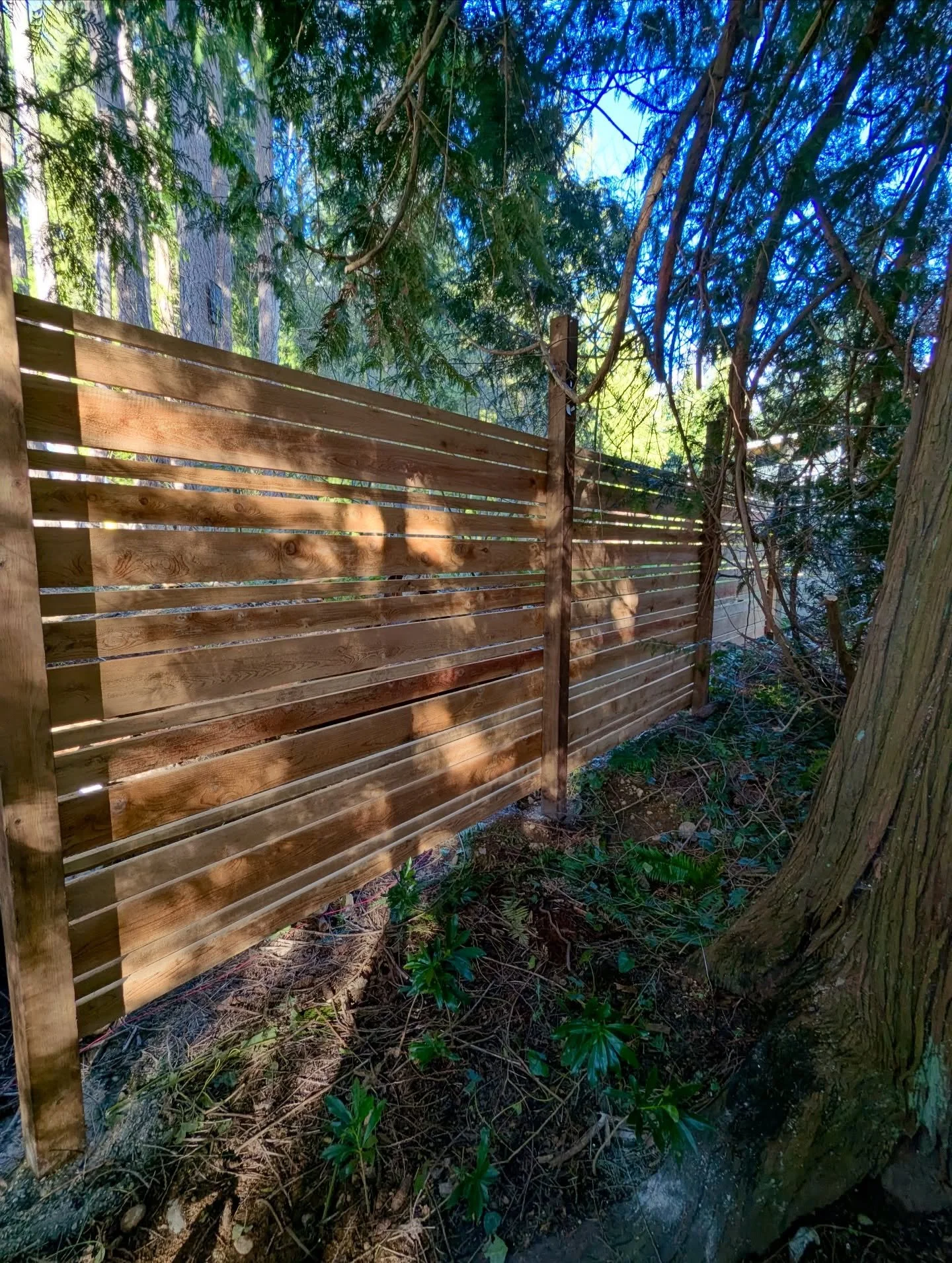 Custom cedar fence to keep a future puppy in! A nice airy design with a variety of lumber dimensions. 

@gibsonssupply
