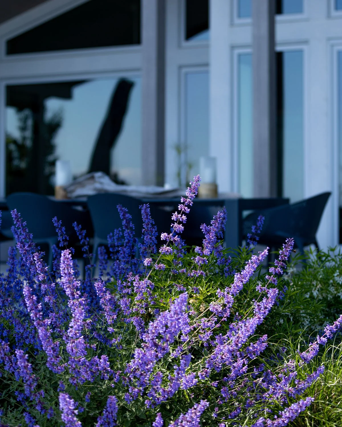 human-nature-landscapes-sunshine-coast-bc-waterfront-landscaping-02.jpg