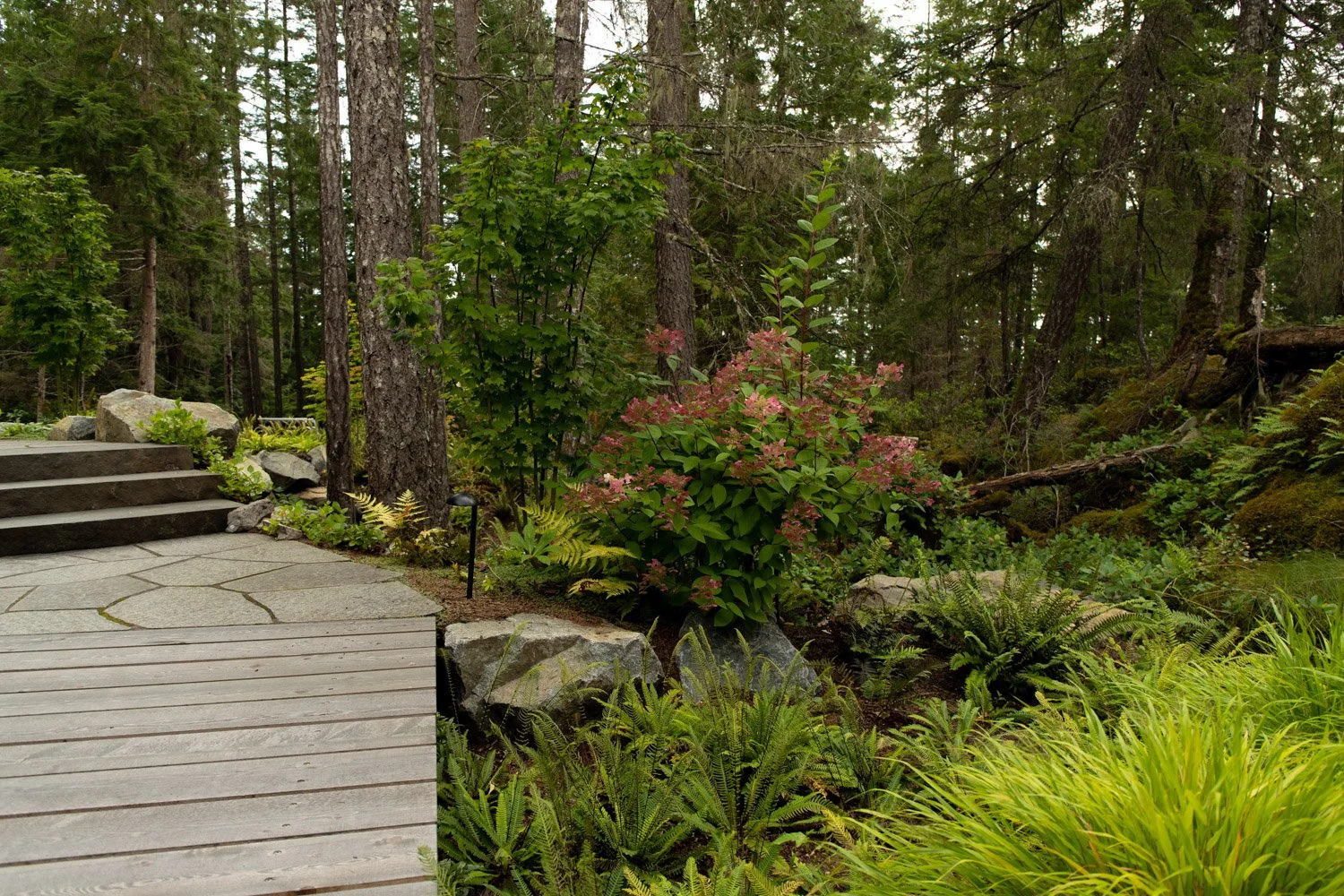 bridgeway-human-nature-landscapes-sunshine-coast-bc-10.jpg