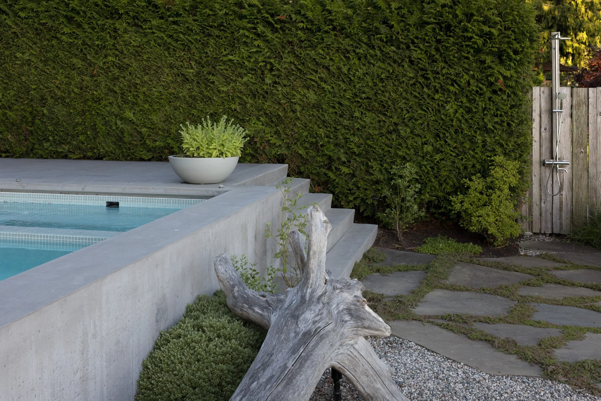 human-nature-landscapes-landscape-overhaul-pool-build-sunshine-coast-bc-05.jpg