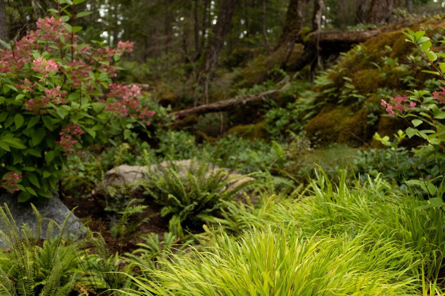 bridgeway-human-nature-landscapes-sunshine-coast-bc-09.jpg