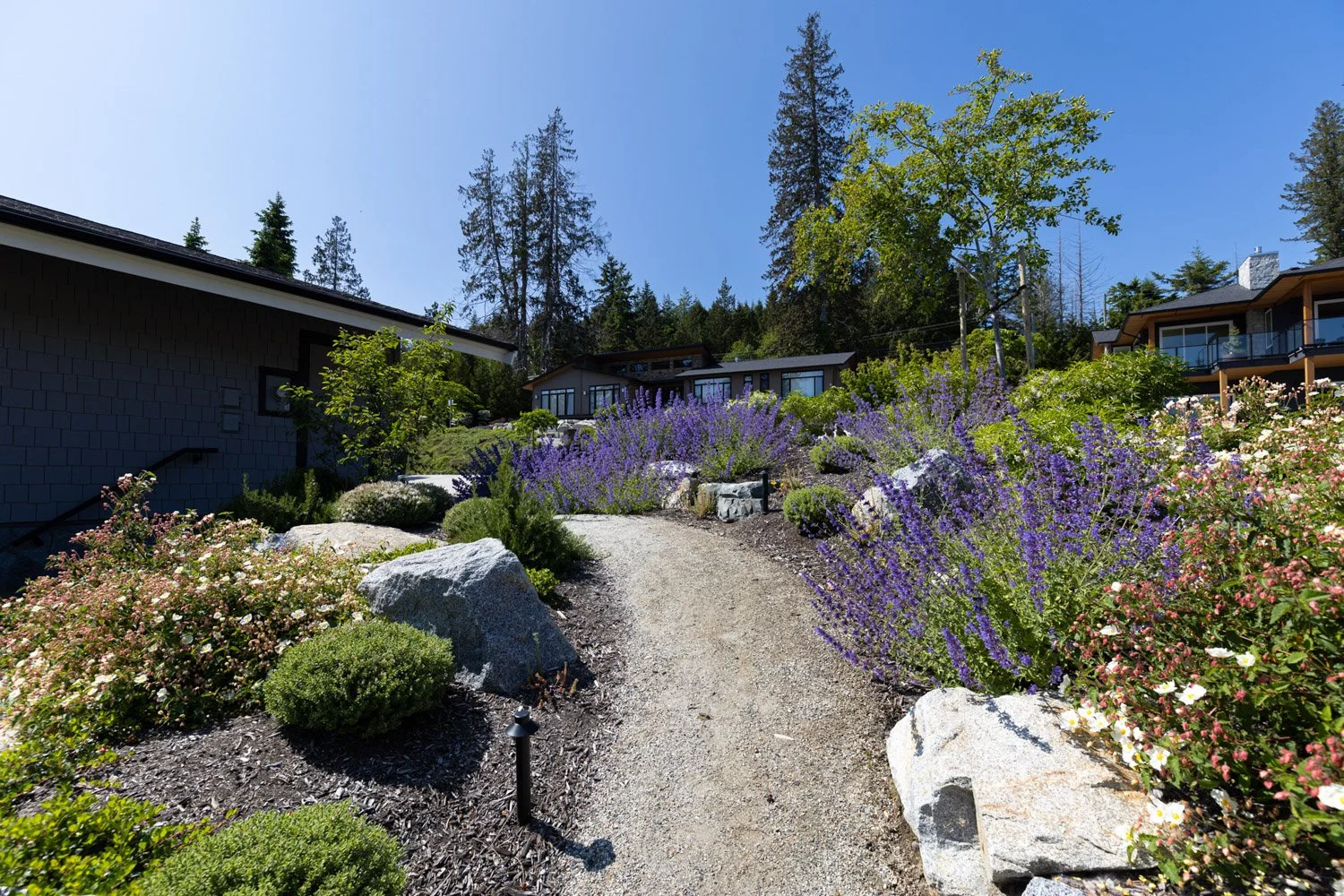 human-nature-landscapes-sunshine-coast-bc-waterfront-landscaping-07.jpg
