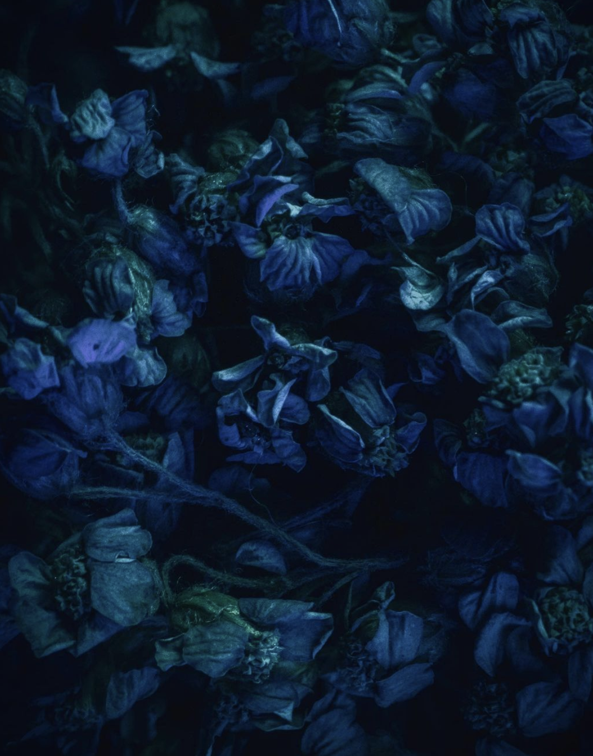Screenshot 2022-03-29 at 7.51.01 PM.png