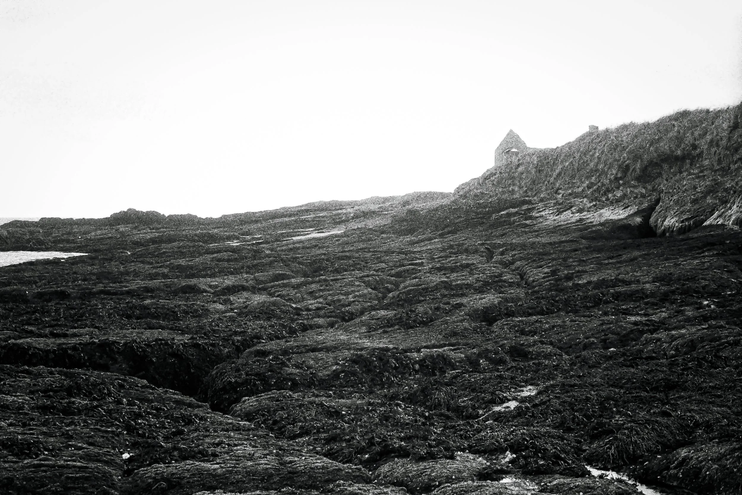 r001-019.jpg