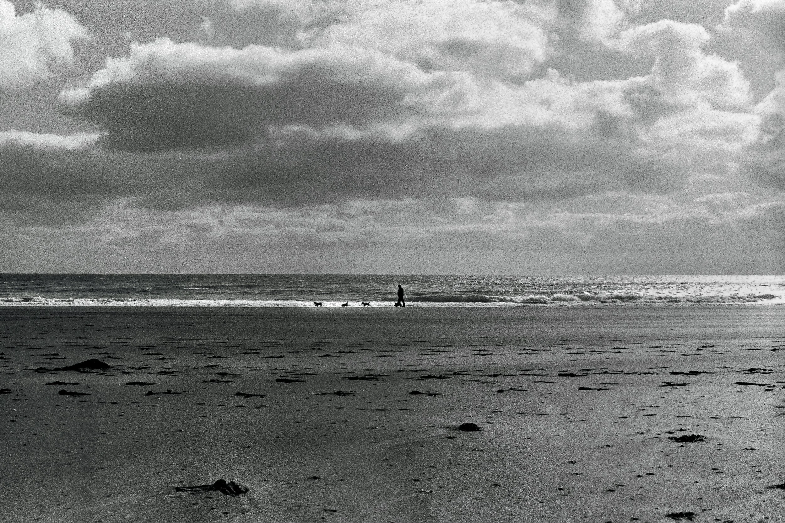 r001-015.jpg