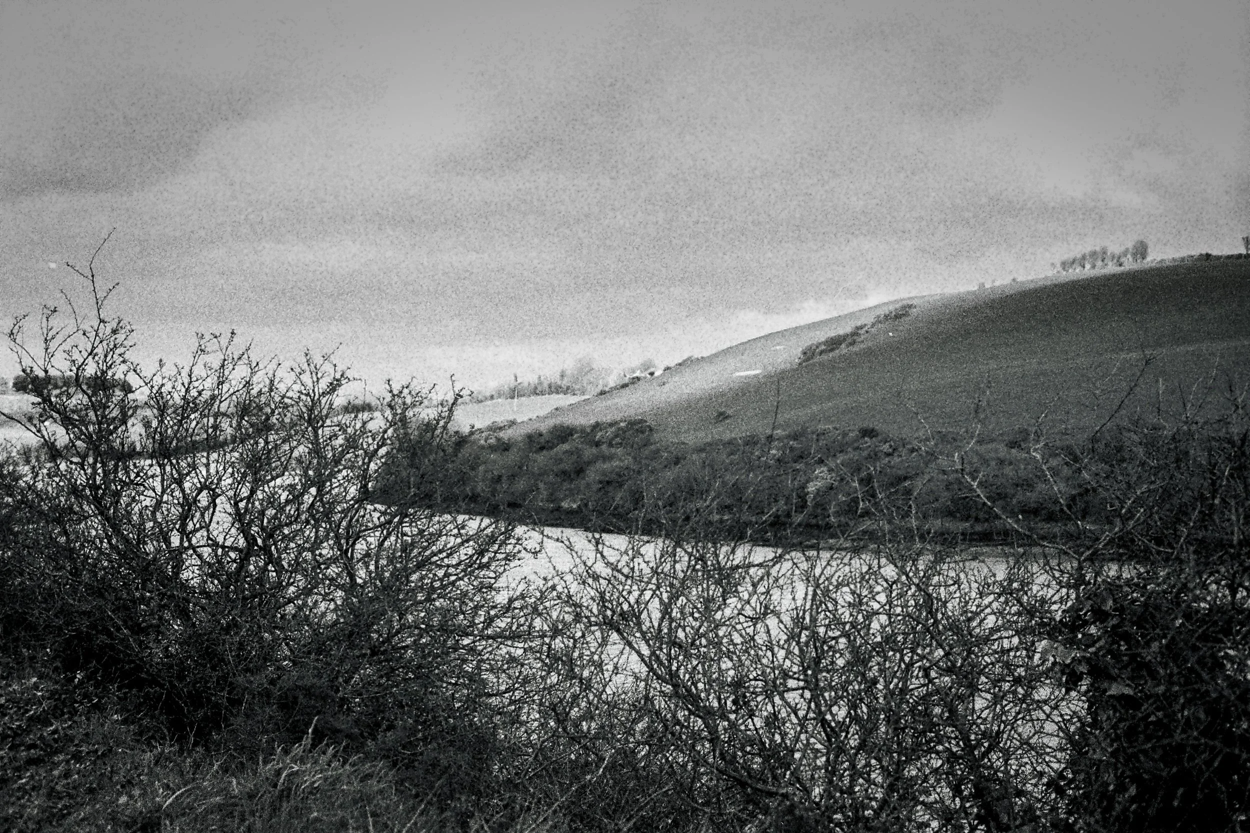 r001-002.jpg