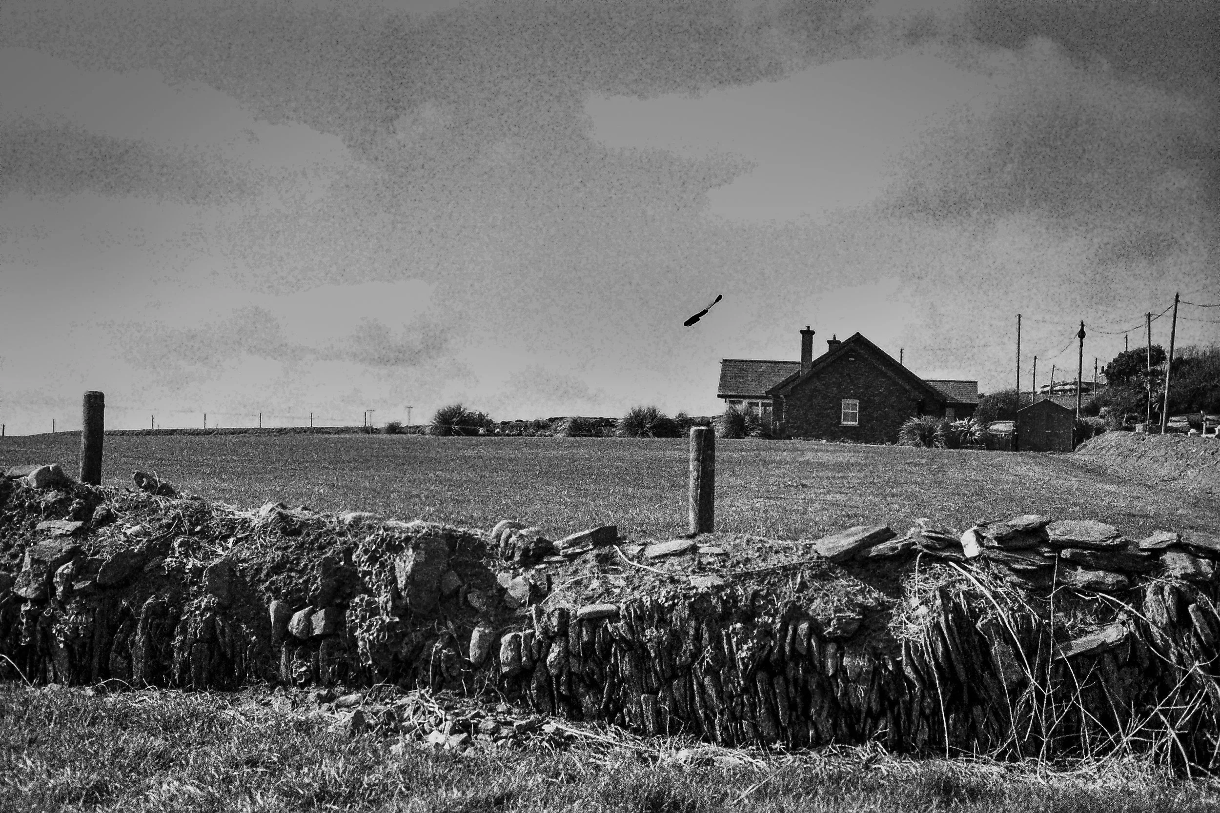 r001-004.jpg