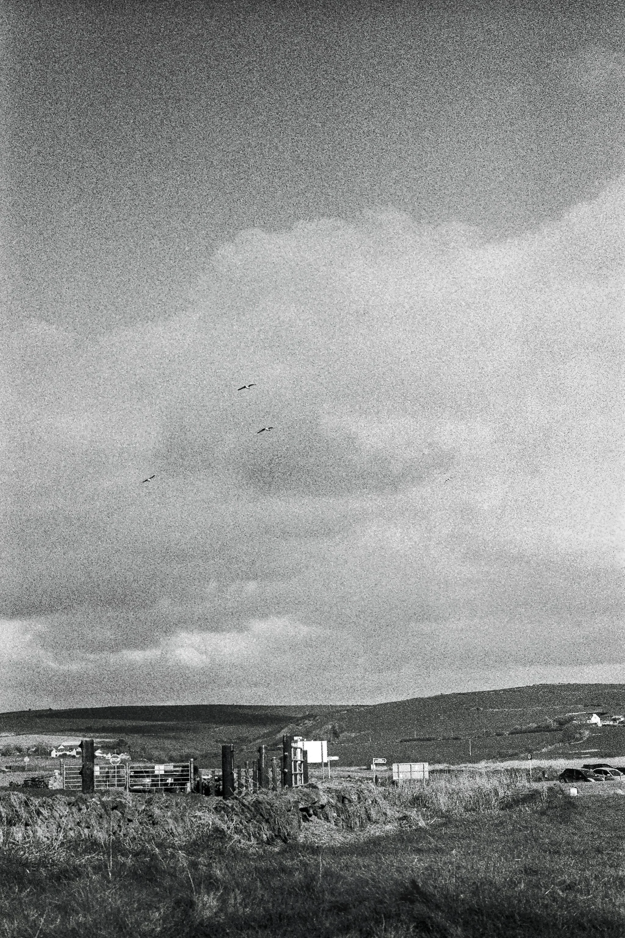 r001-007.jpg