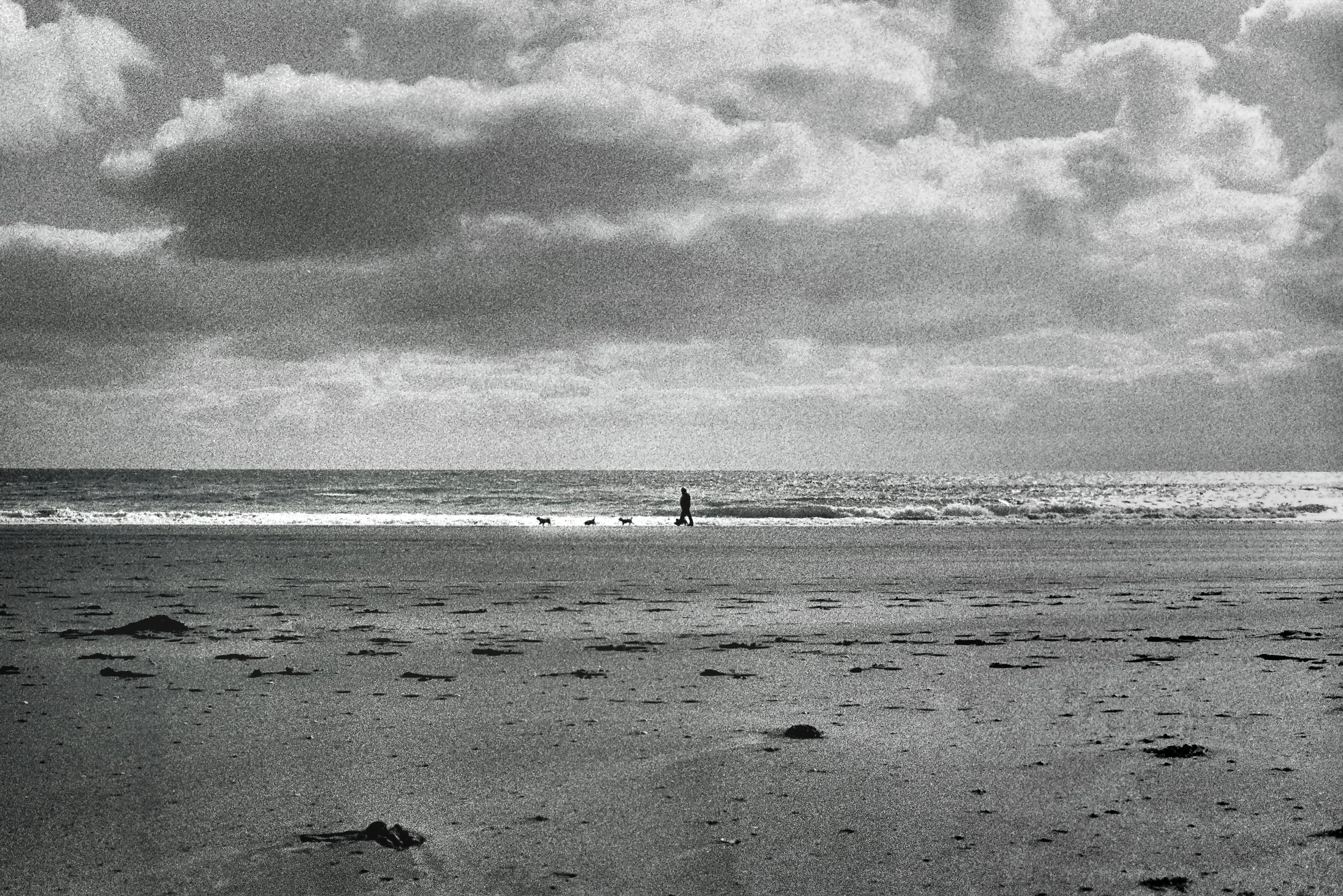 r001-015-2.jpg