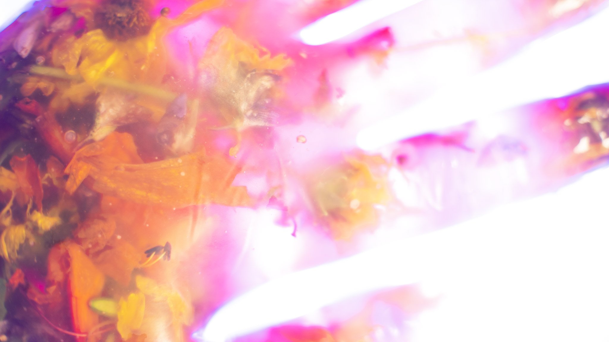 b368f07299d13490c9ca9f88dd3cc75d.jpeg