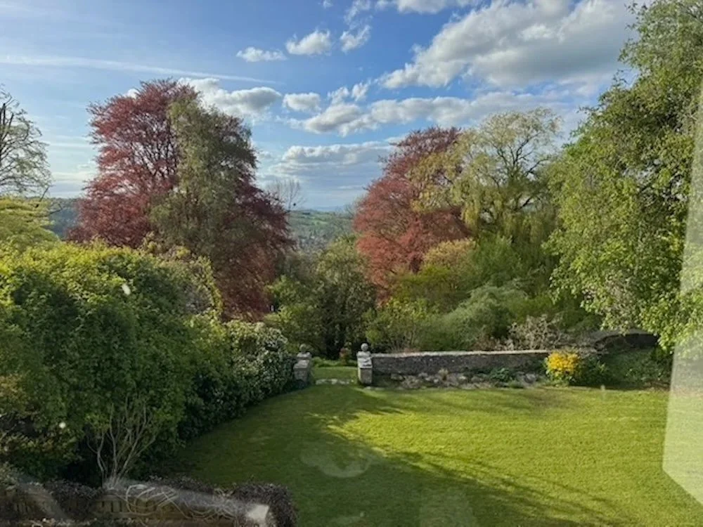 Garden view from bedroom