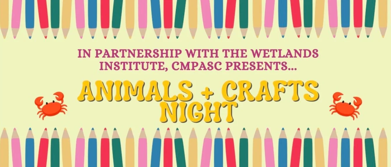 Animals + Craft Night with The Wetlands Institute