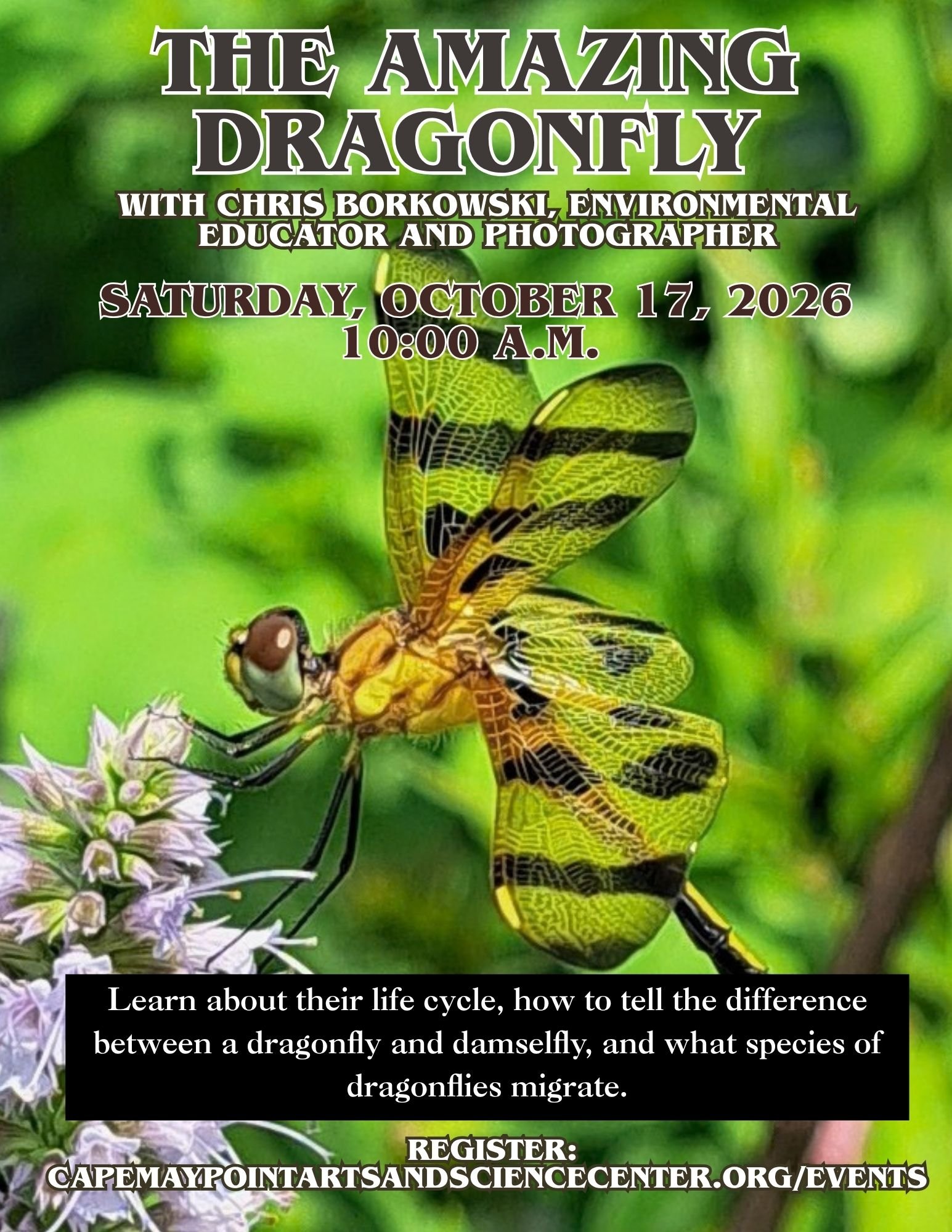 The Life of a Dragonfly with Chris Borkowski