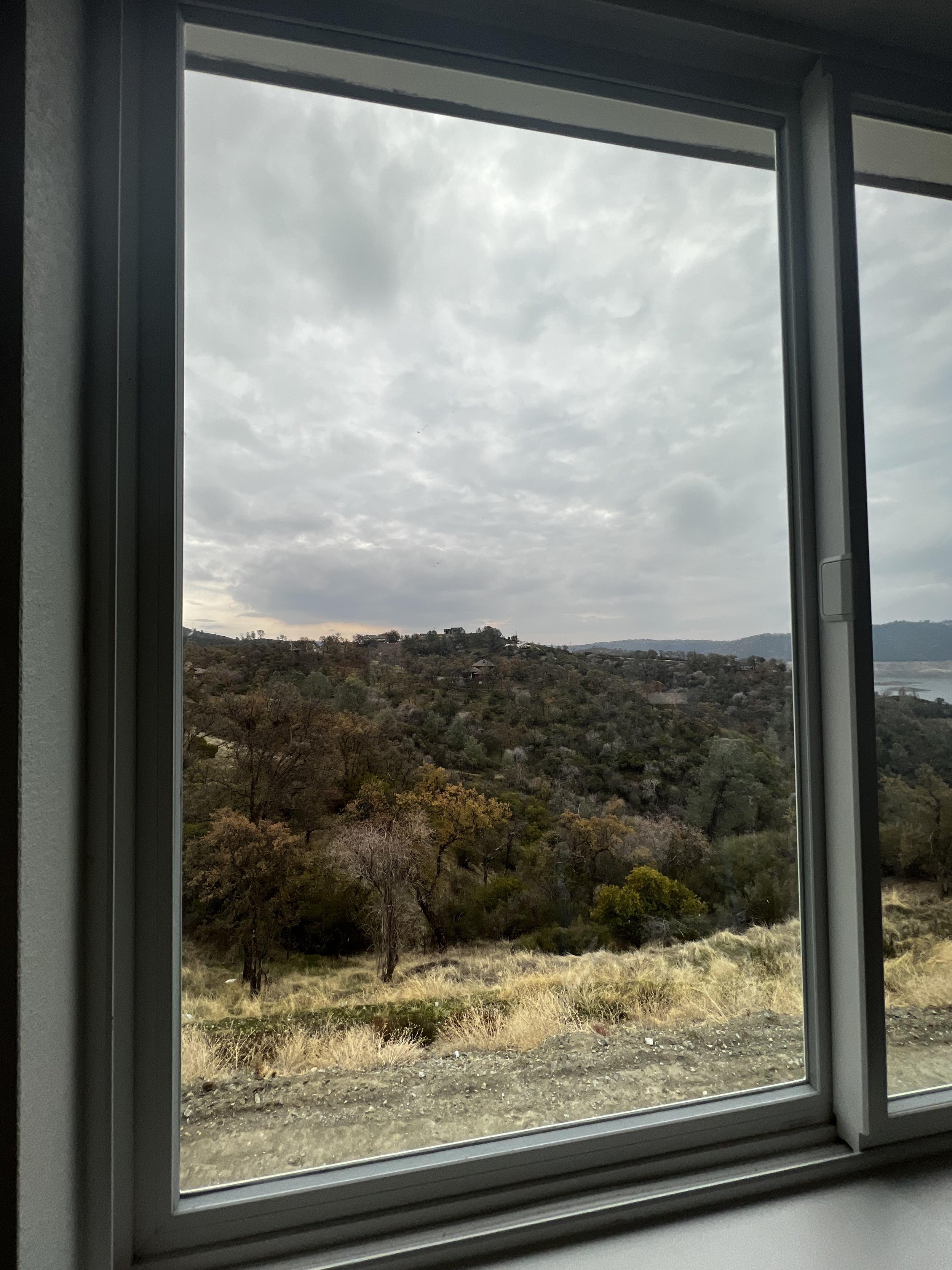 IMG_6493.jpeg
