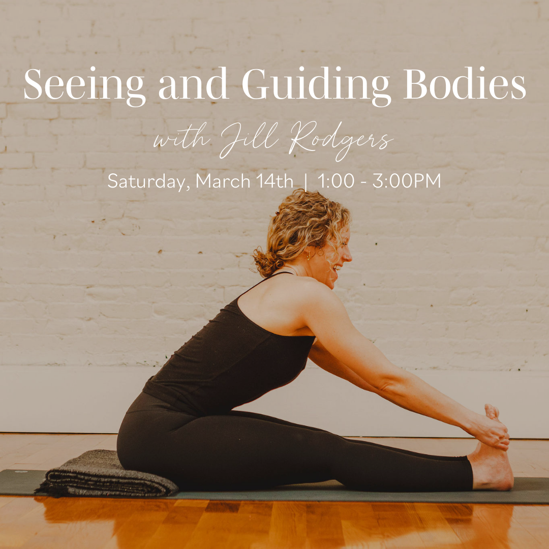  Seeing and Guiding Yoga Bodies