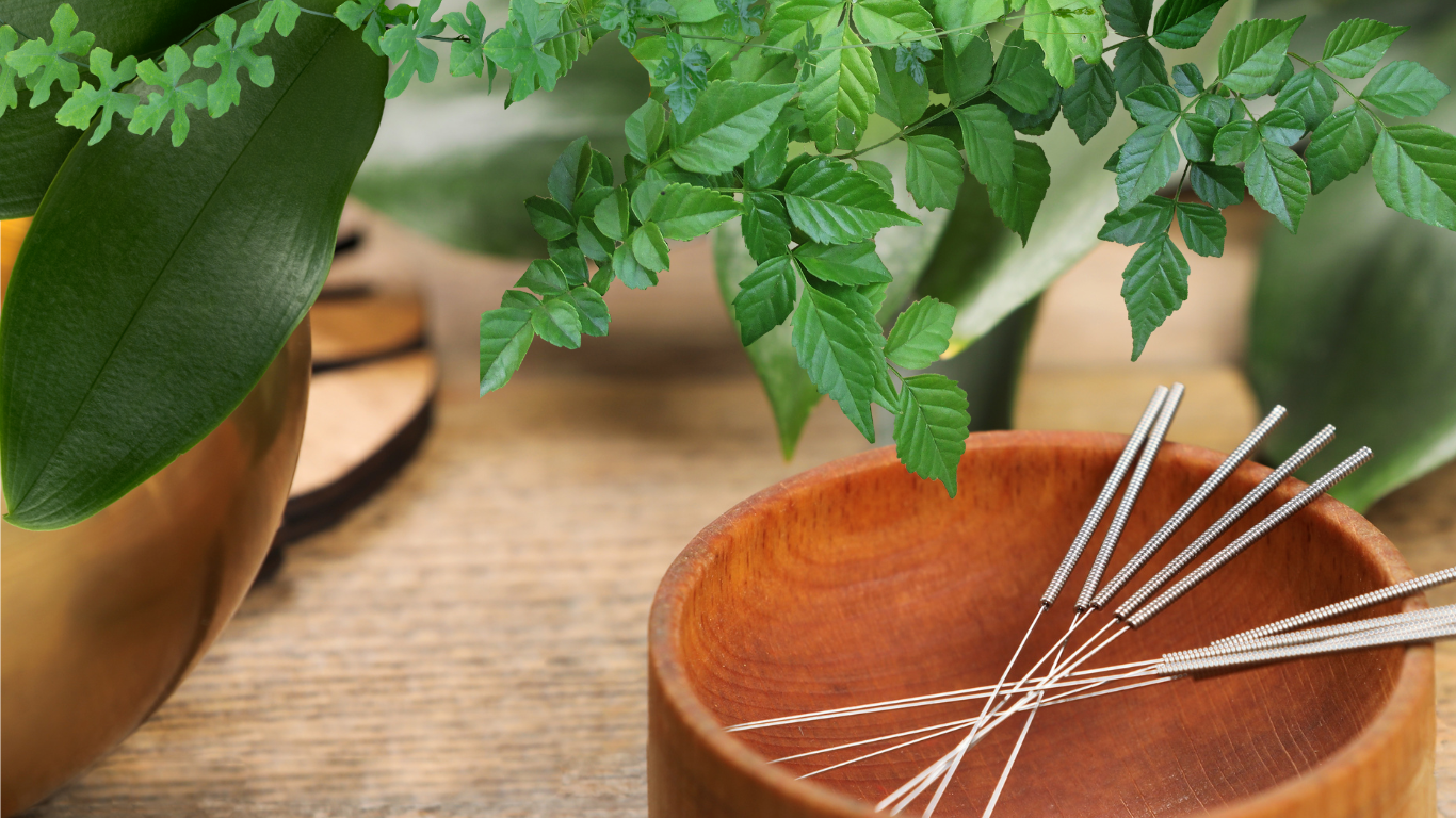 A bowl of metal acupuncture needles, framed by leafy green plants.