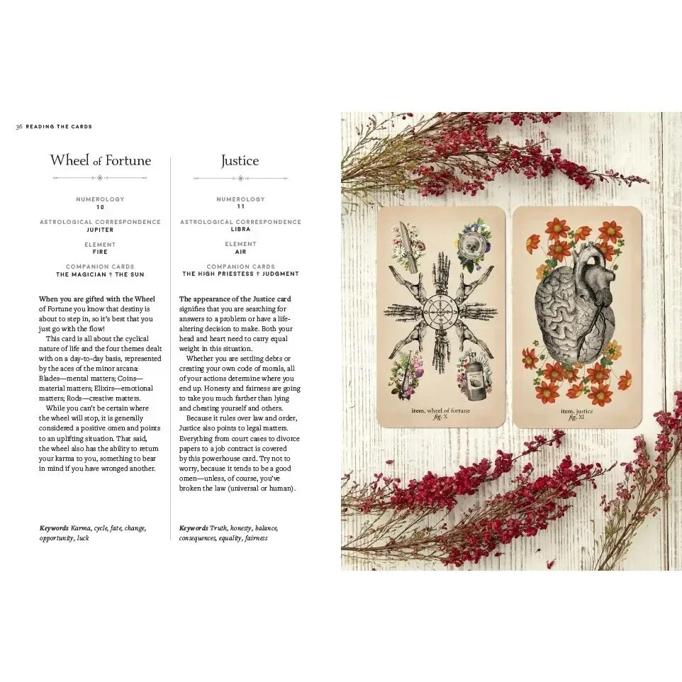 antique anatomy tarot deck 4.jpeg