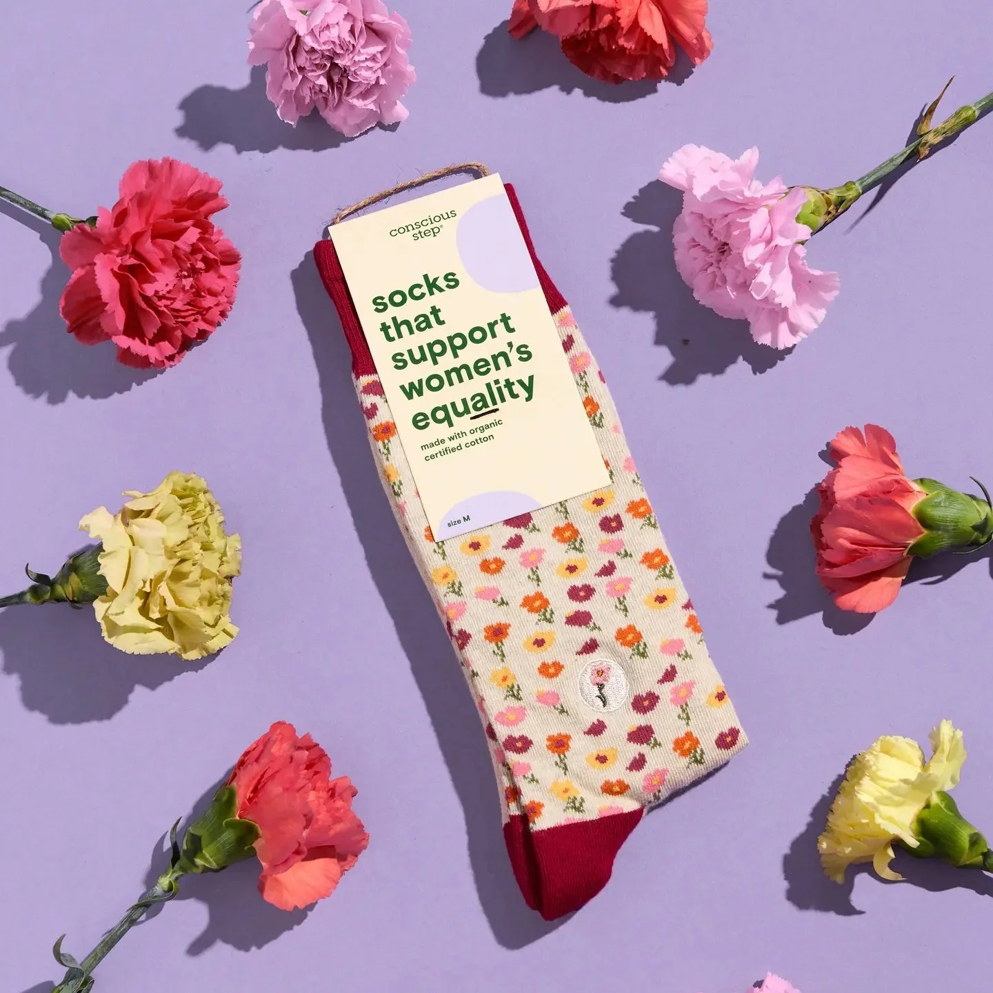 socks that support women's equality 3.jpeg