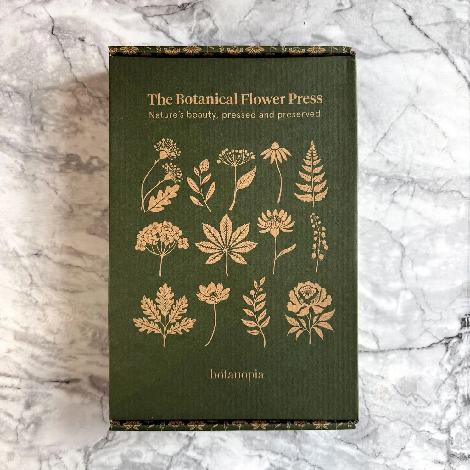 botanical flower press 9.jpeg