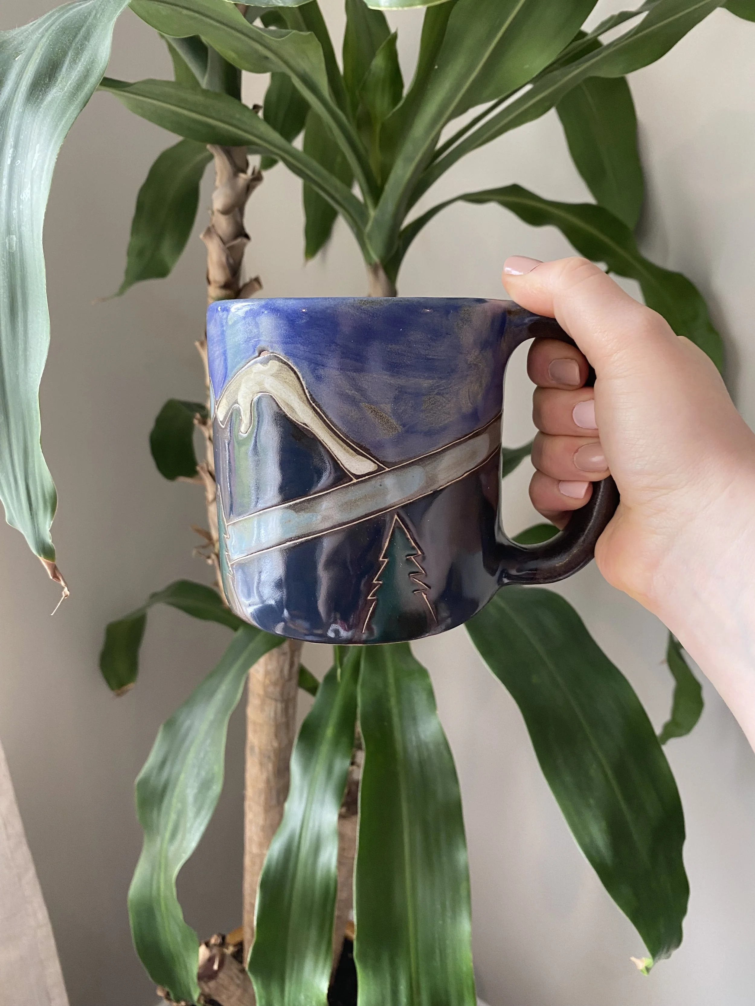 snowy mountains mug 2.jpg