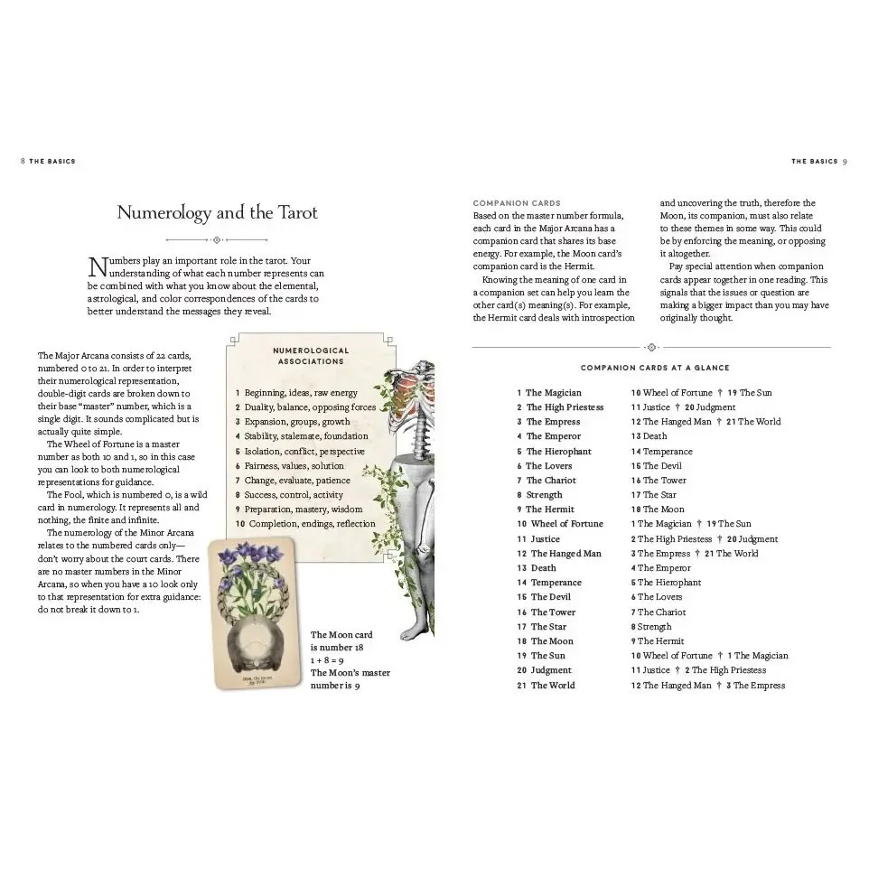 antique anatomy tarot deck 2.jpeg