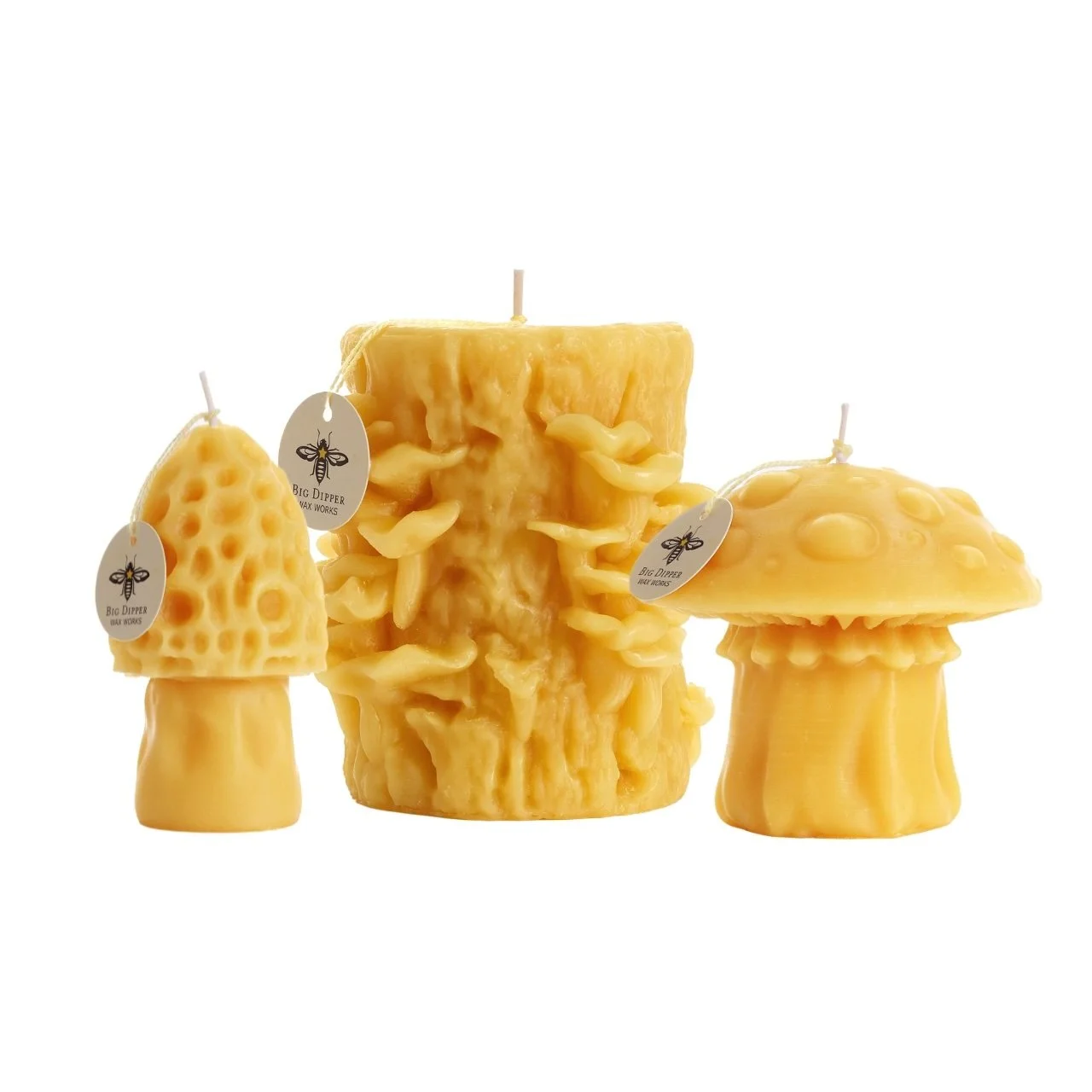 mushroom candles 2.jpeg