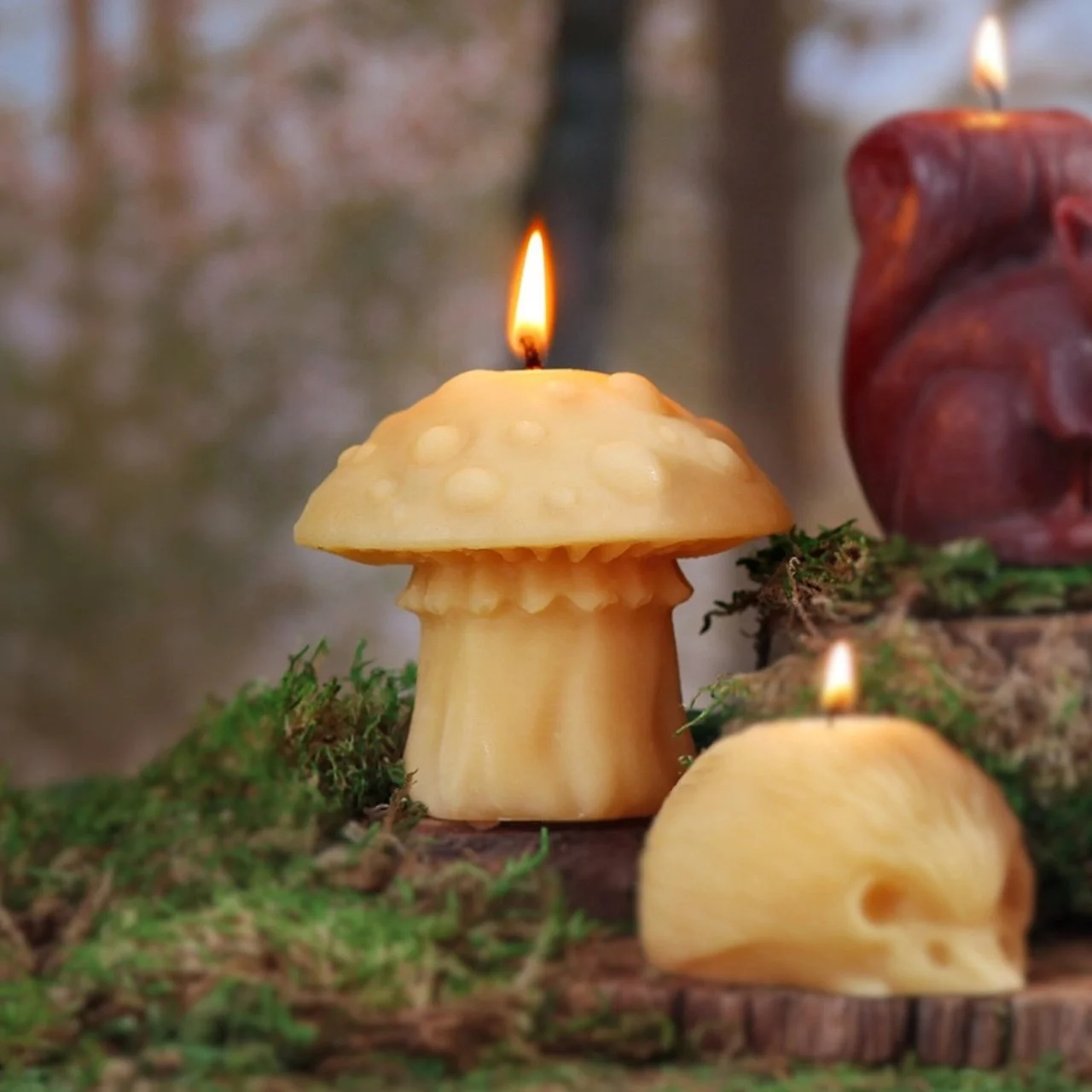 mushroom candles 12.jpeg