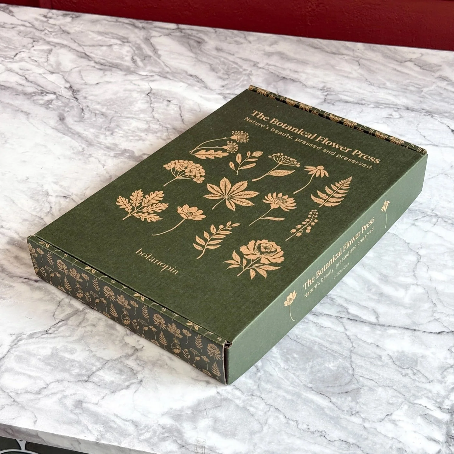 botanical flower press 11.jpeg
