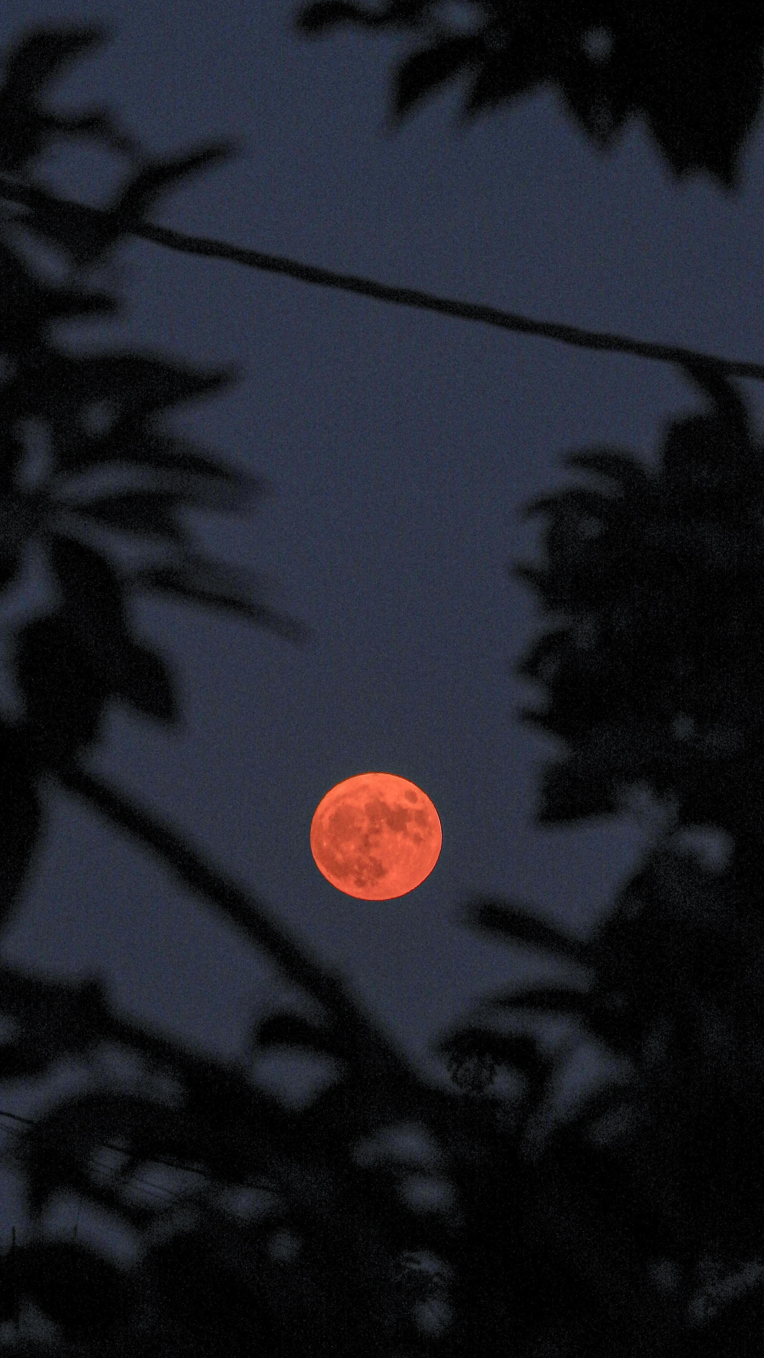 Strawberry Moon Ceremony Tickets