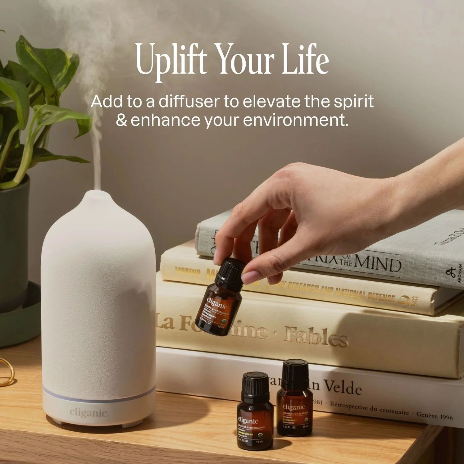 essential oils set 6.jpeg